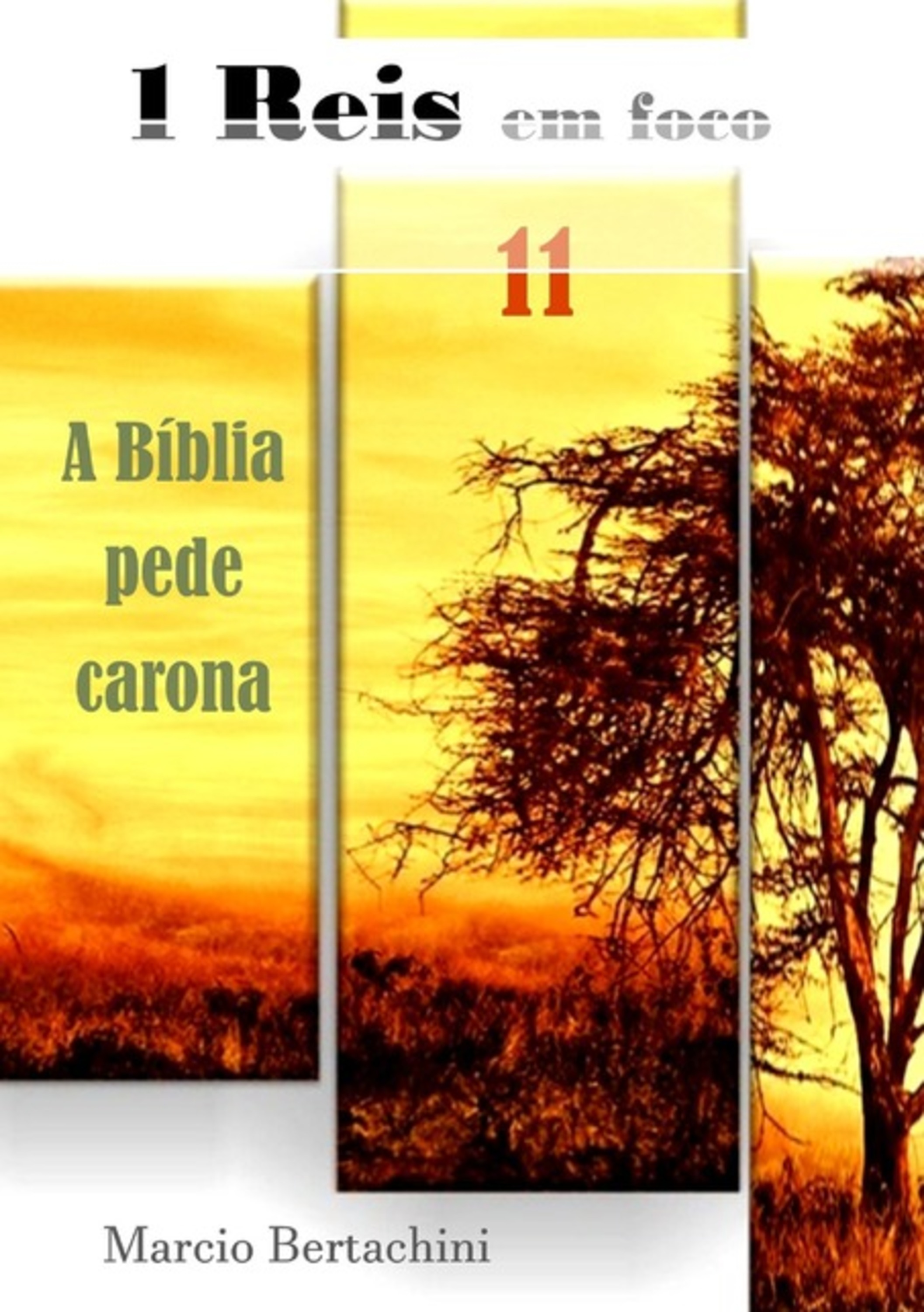 1 Reis Em Foco!