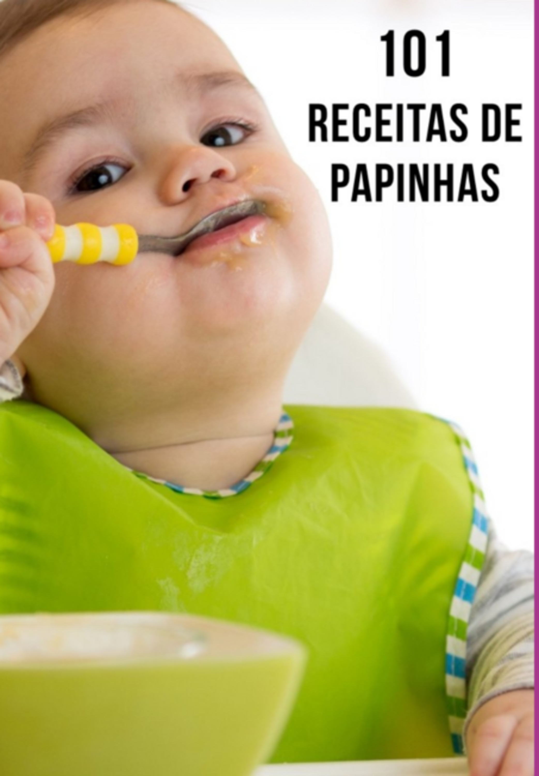 101 Receitas De Papinha