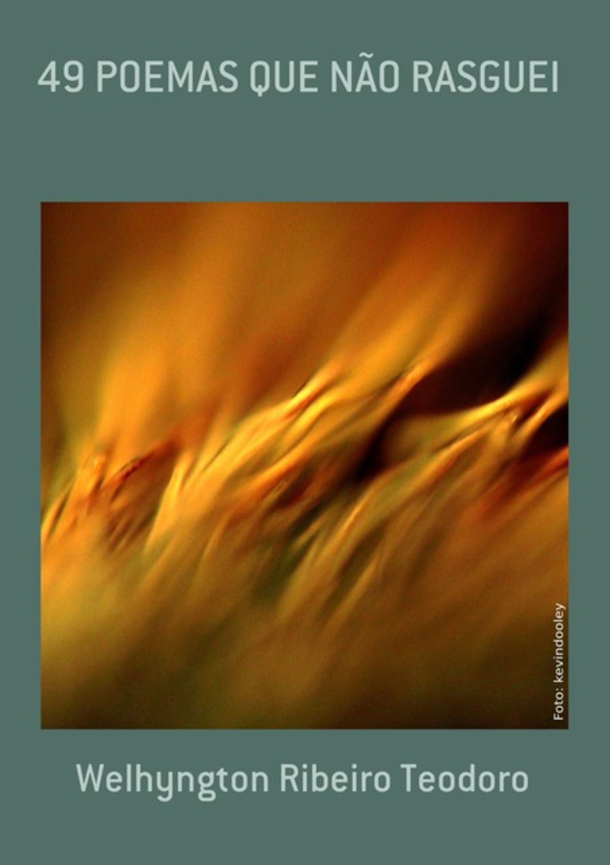 49 Poemas Que Não Rasguei