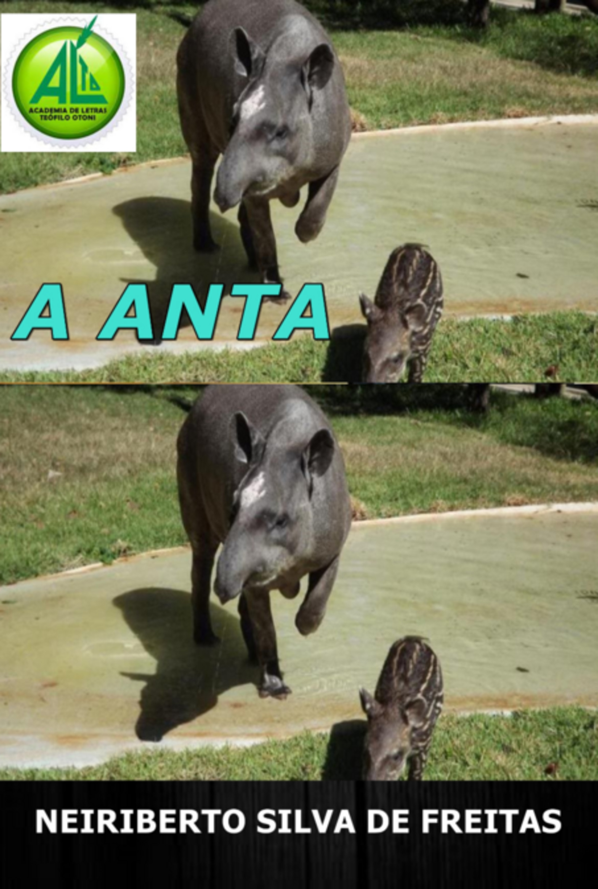 A Anta