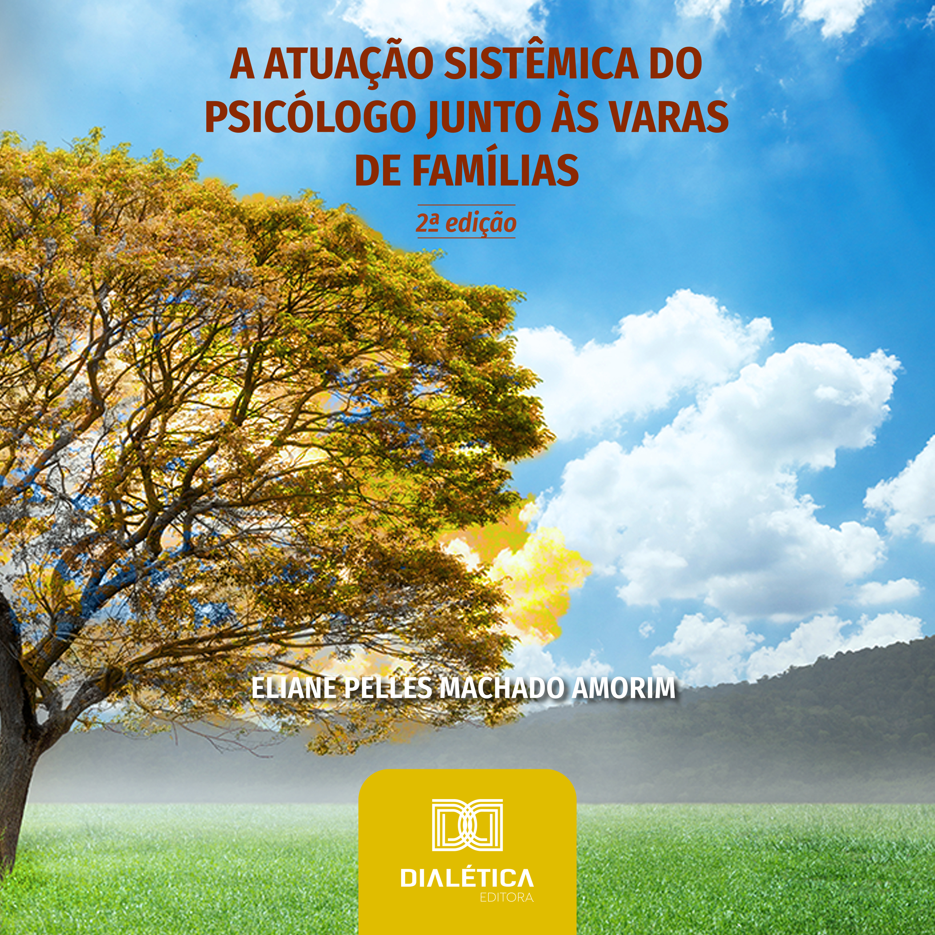 A Atuação Sistêmica do Psicólogo junto às Varas de Famílias