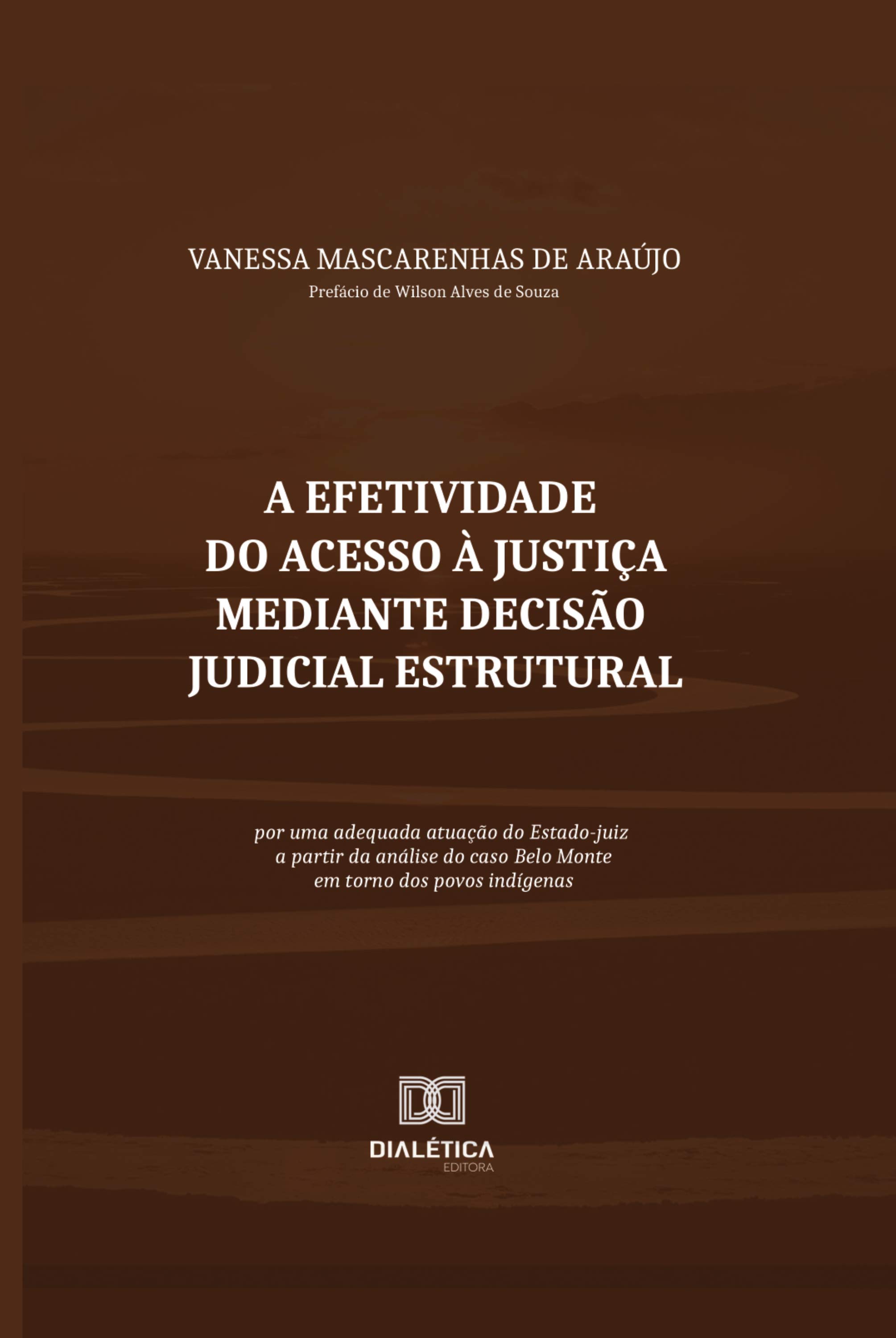 A Efetividade do Acesso à Justiça mediante Decisão Judicial Estrutural