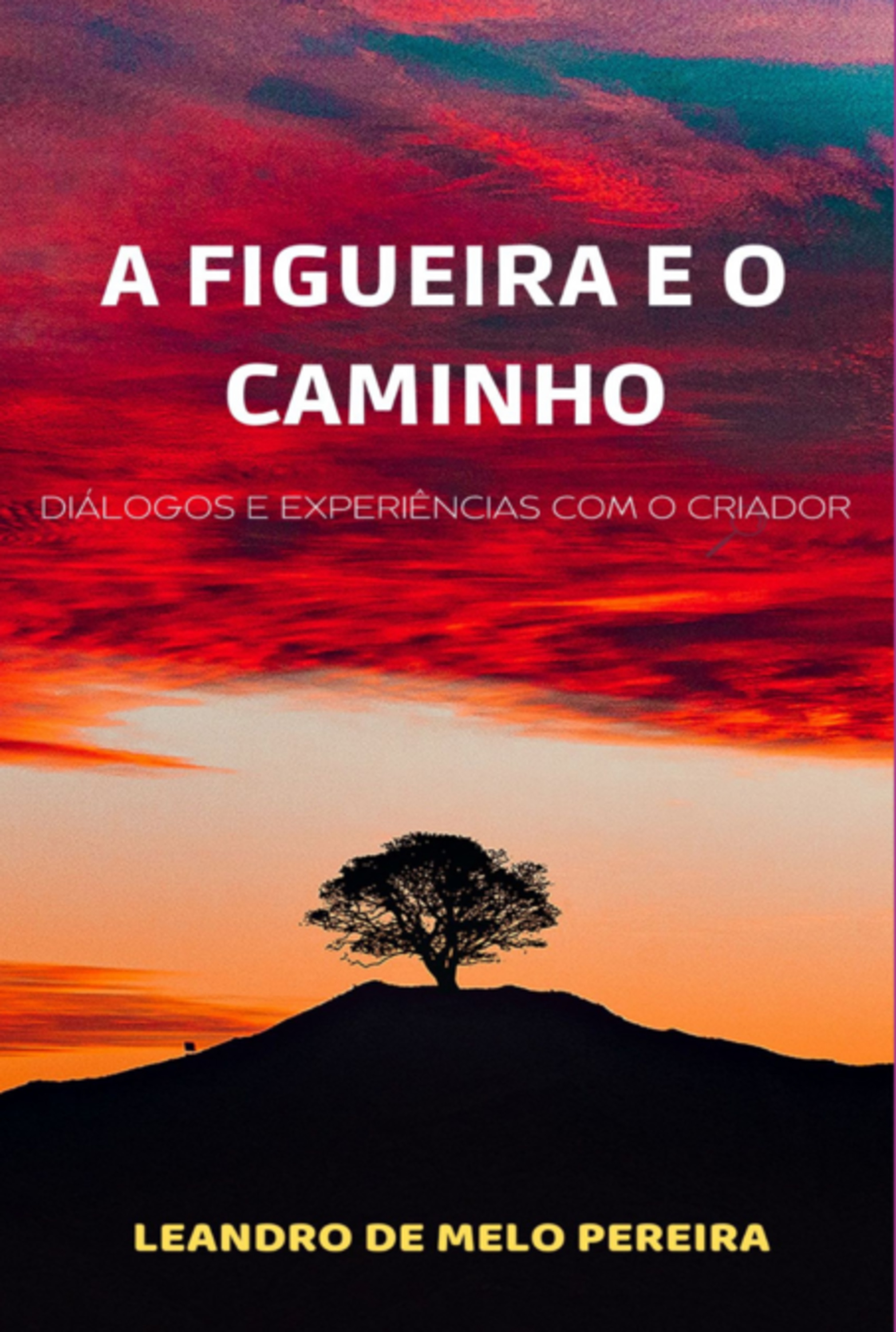 A Figueira E O Caminho