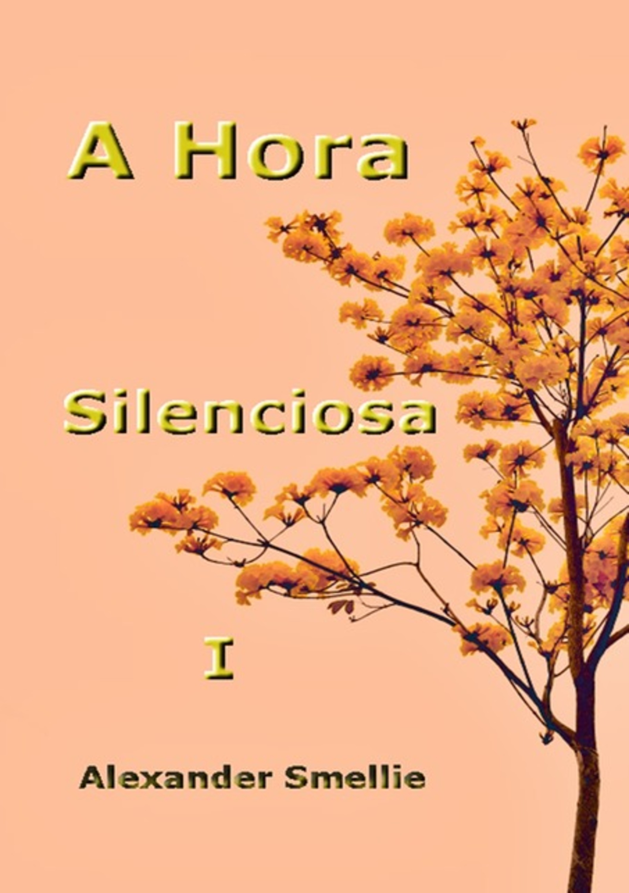 A Hora Silenciosa I