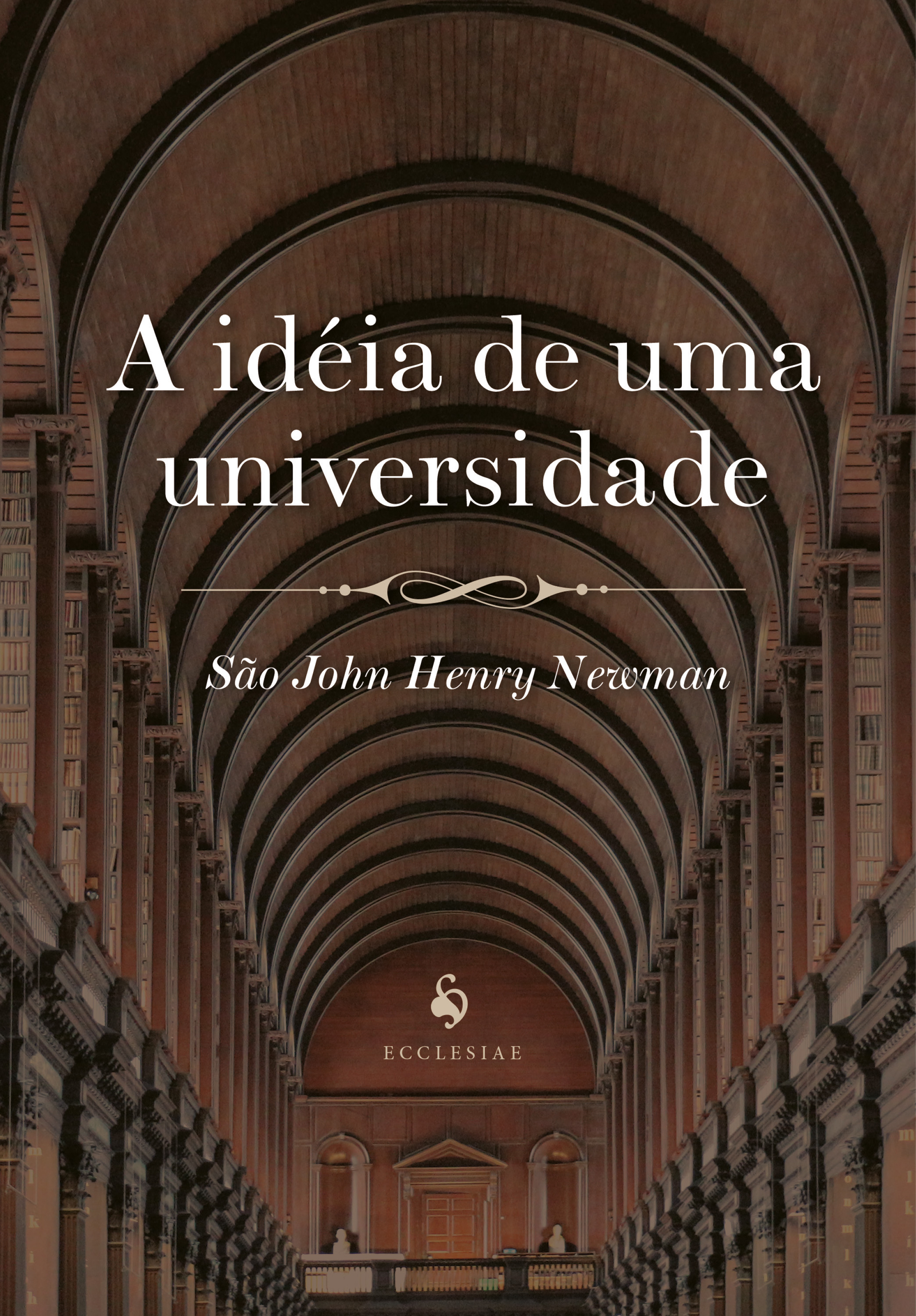 A Idéia De Uma Universidade