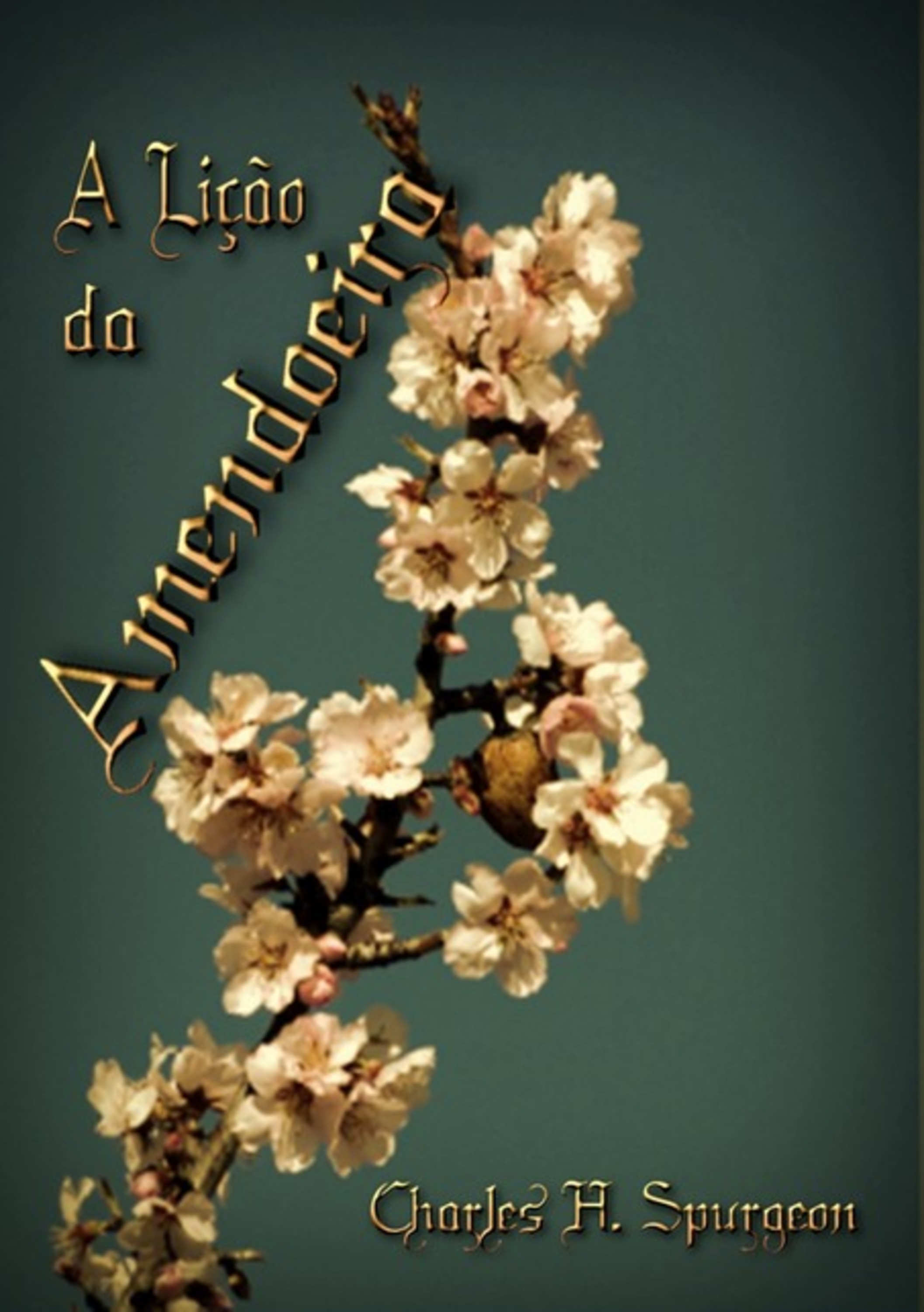 A Lição Da Amendoeira