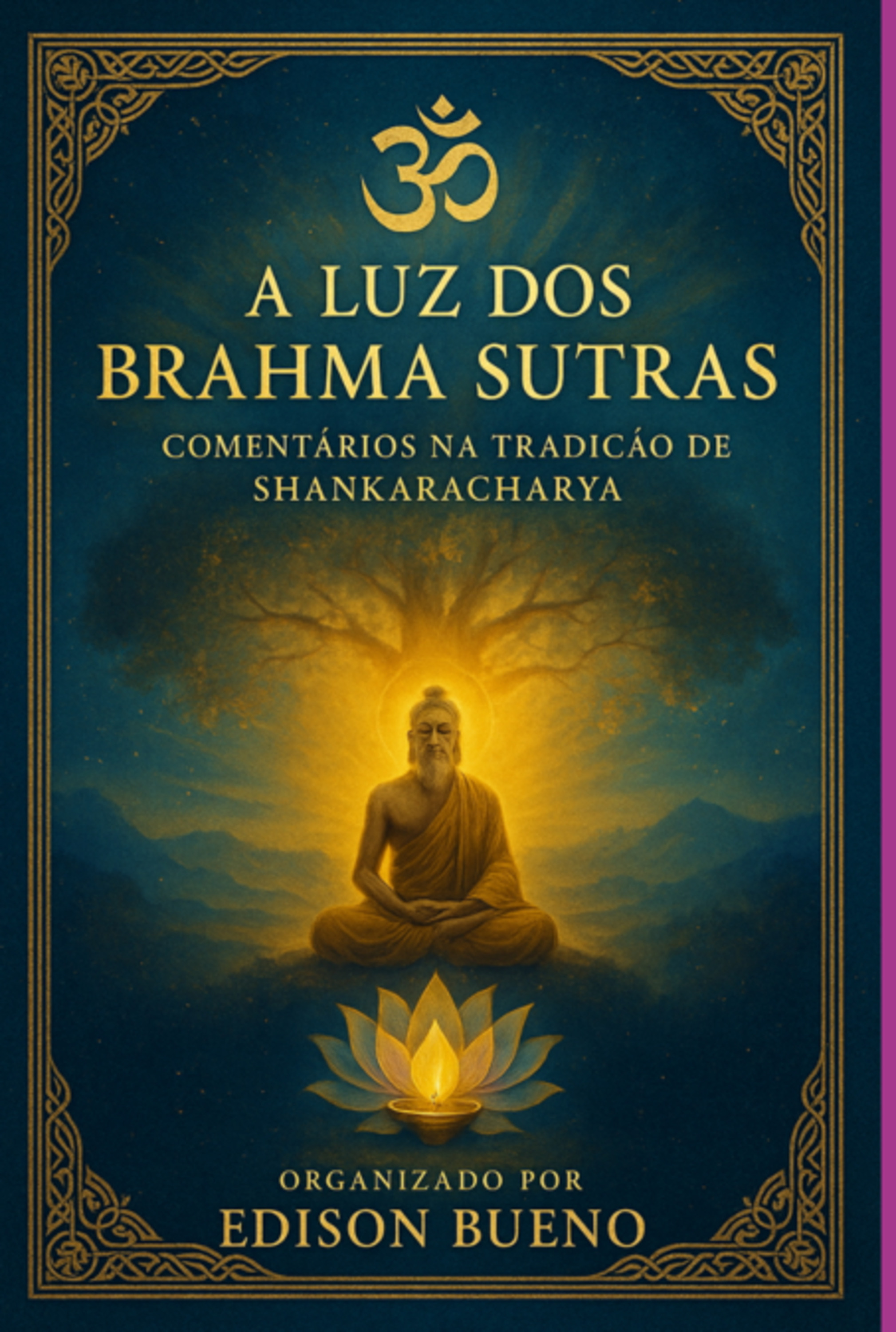 A Luz Dos Brahma Sutras