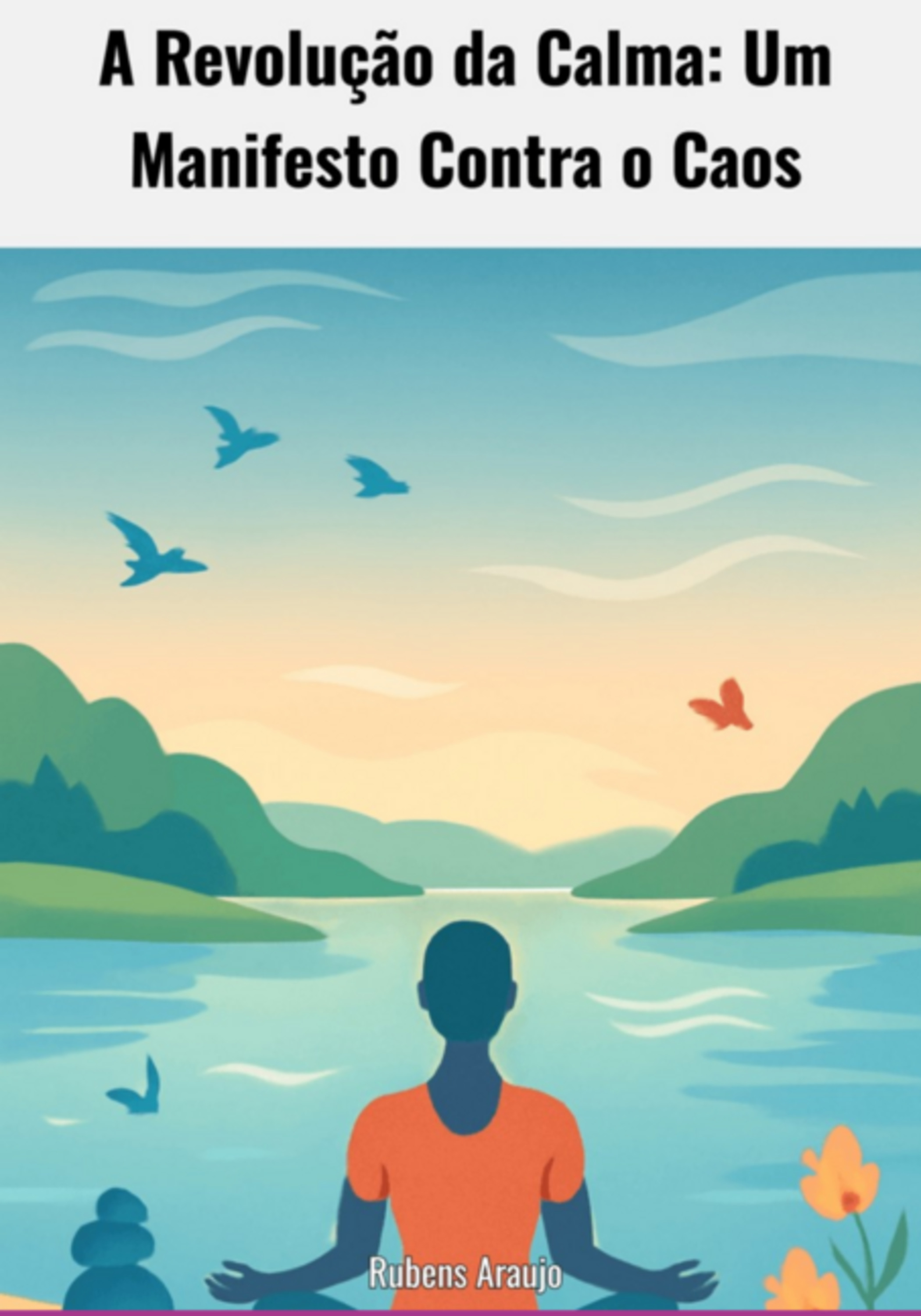 A Revolução Da Calma Um Manifesto Contra O Caos