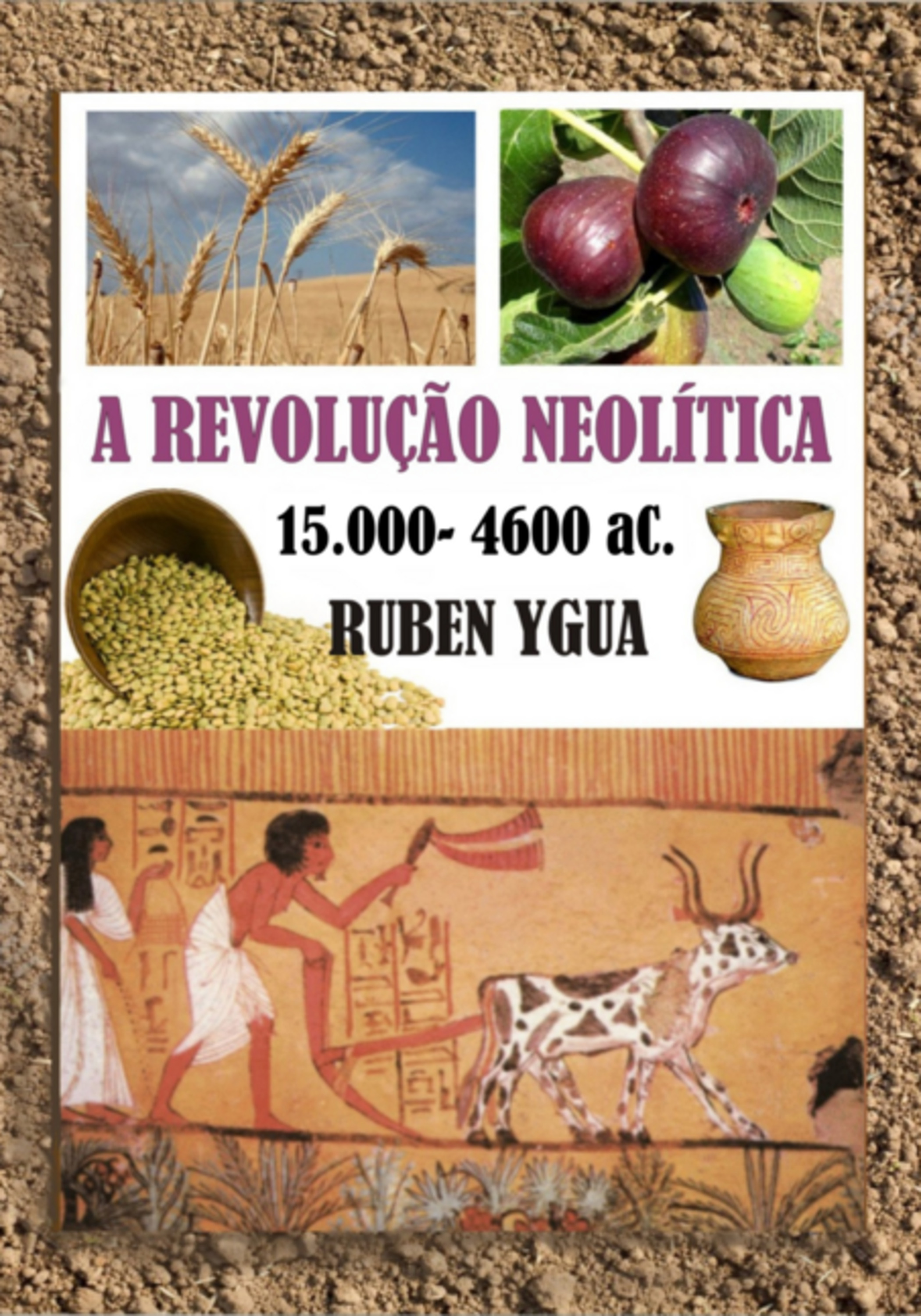 A Revolução Neolítica