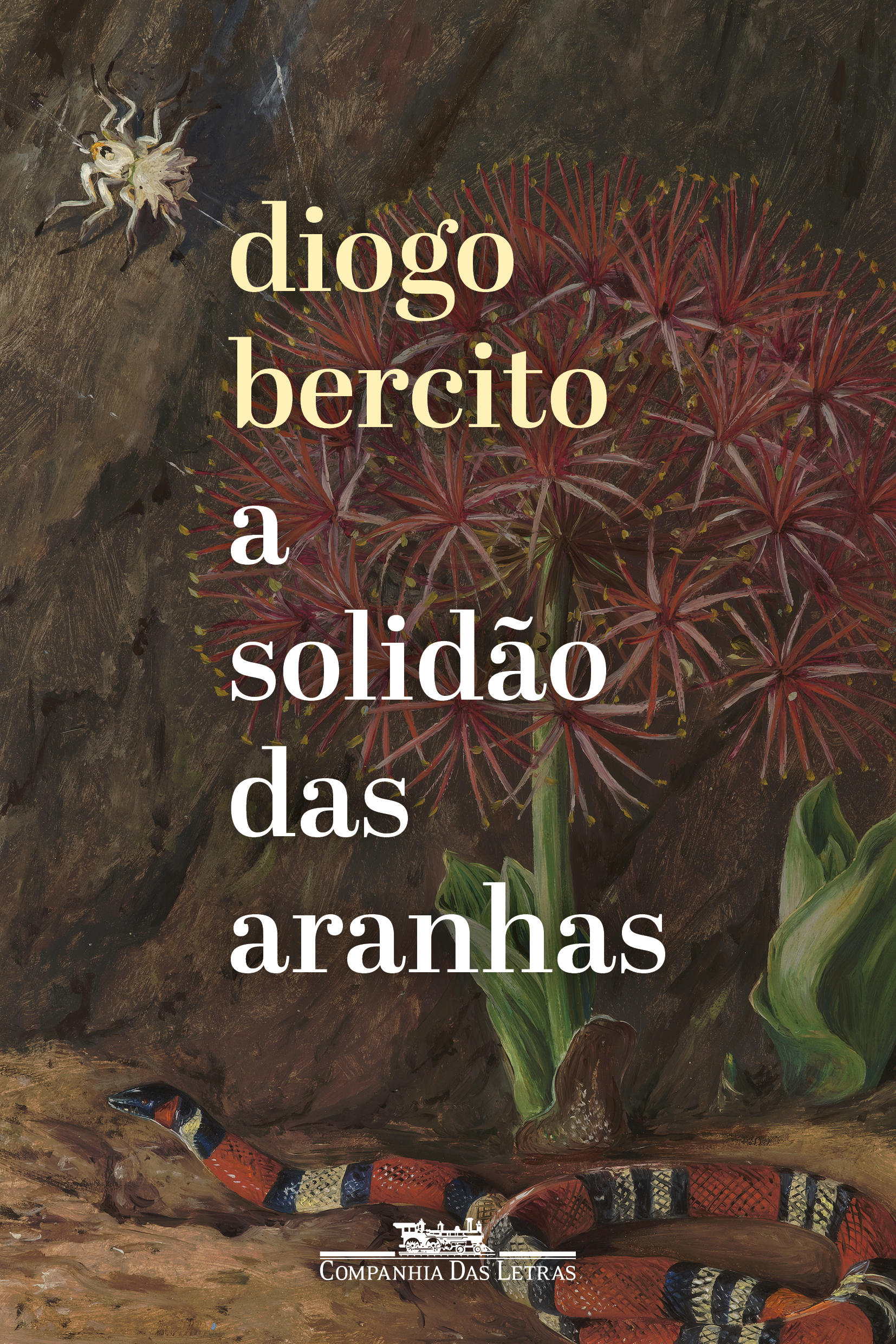 A solidão das aranhas