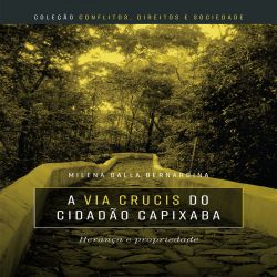 A via crucis do cidadão capixaba - herança e propriedade