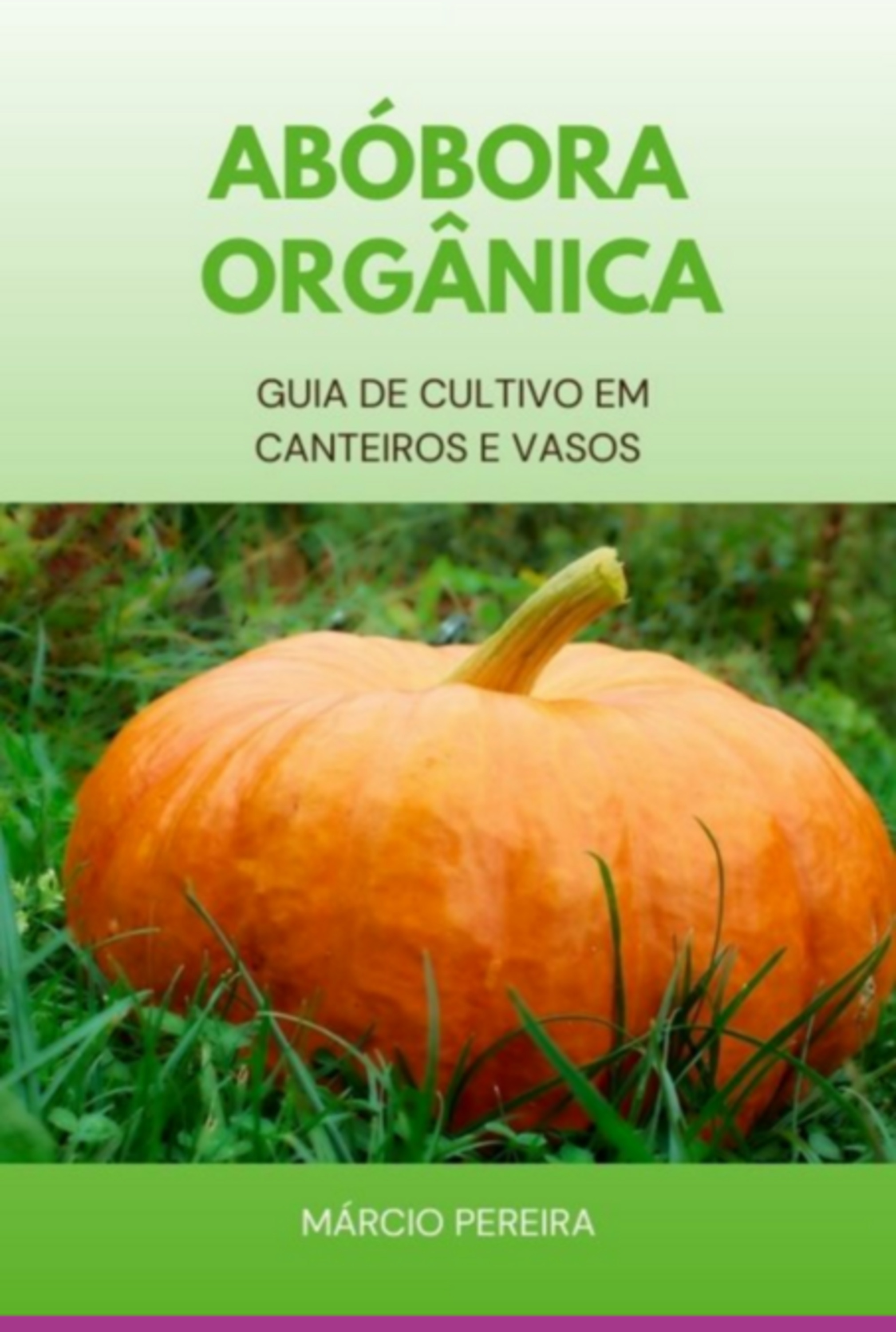 Abóbora Orgânica