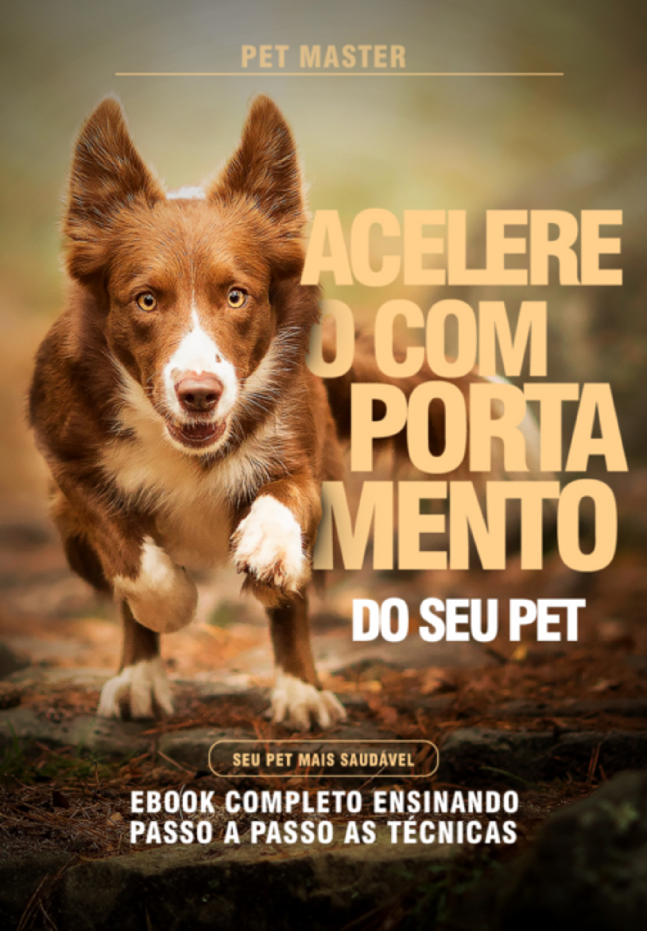 Acelere O Comportamento Do Seu Pet