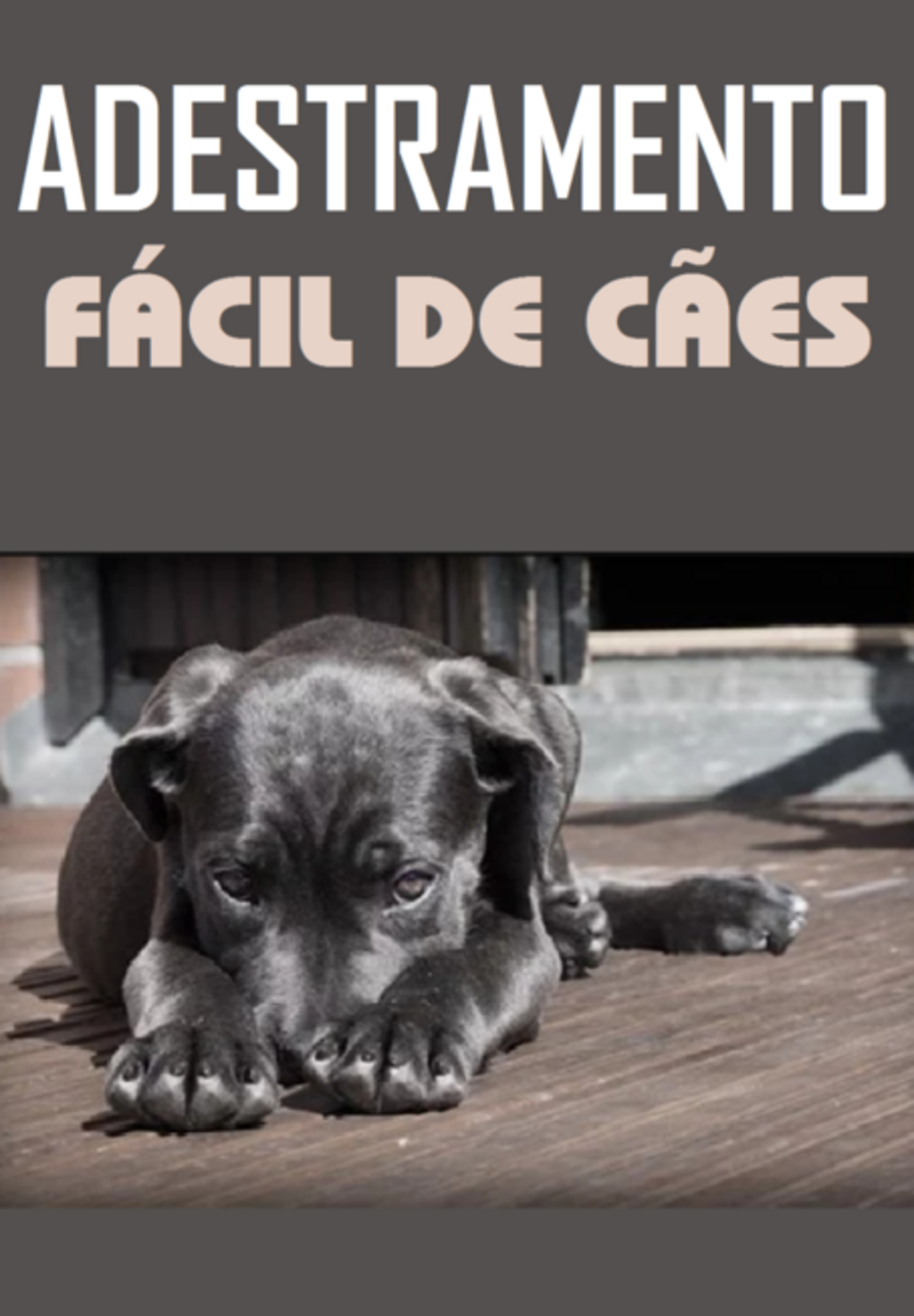 Adestramento Facil De Caes