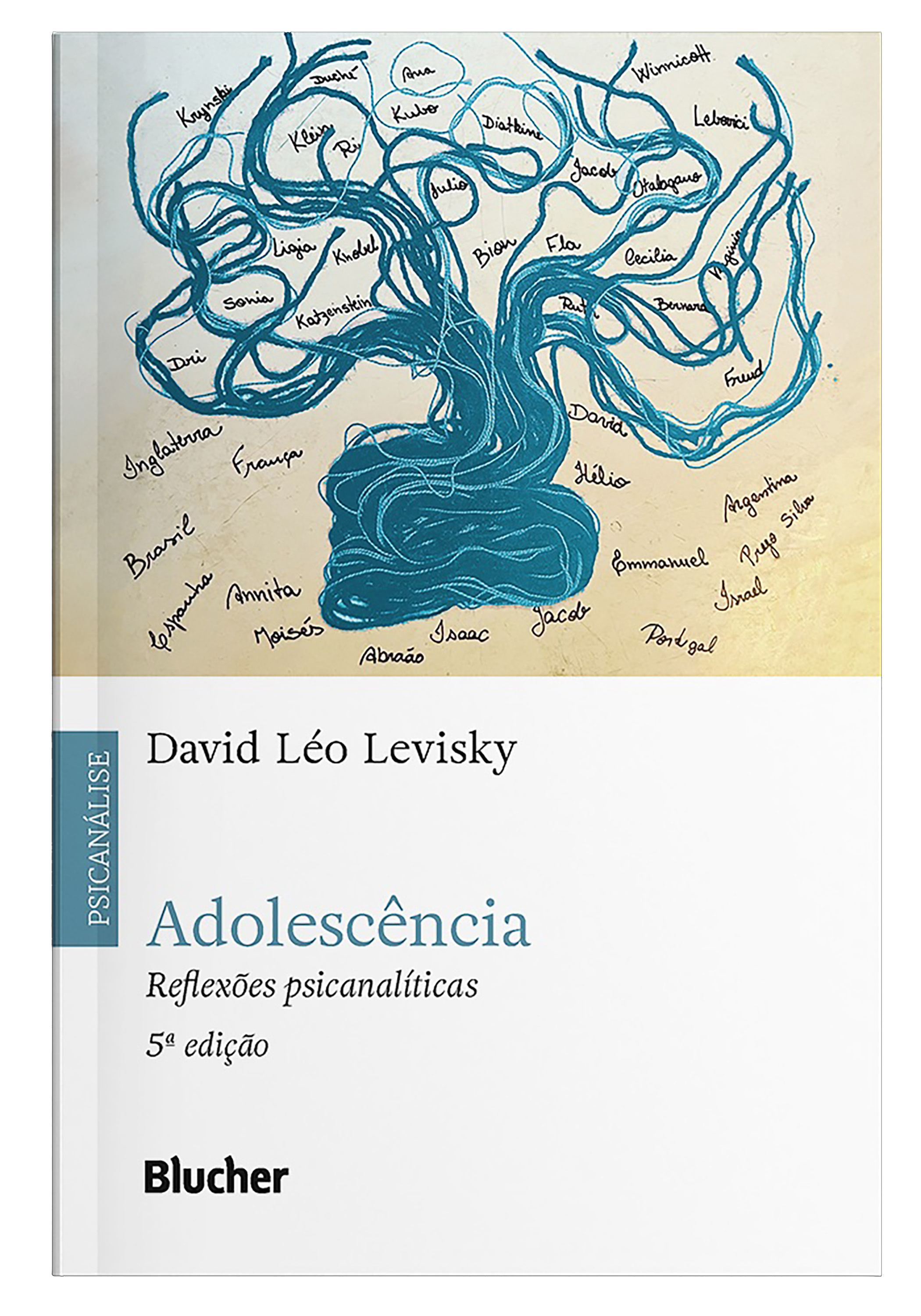 Adolescência