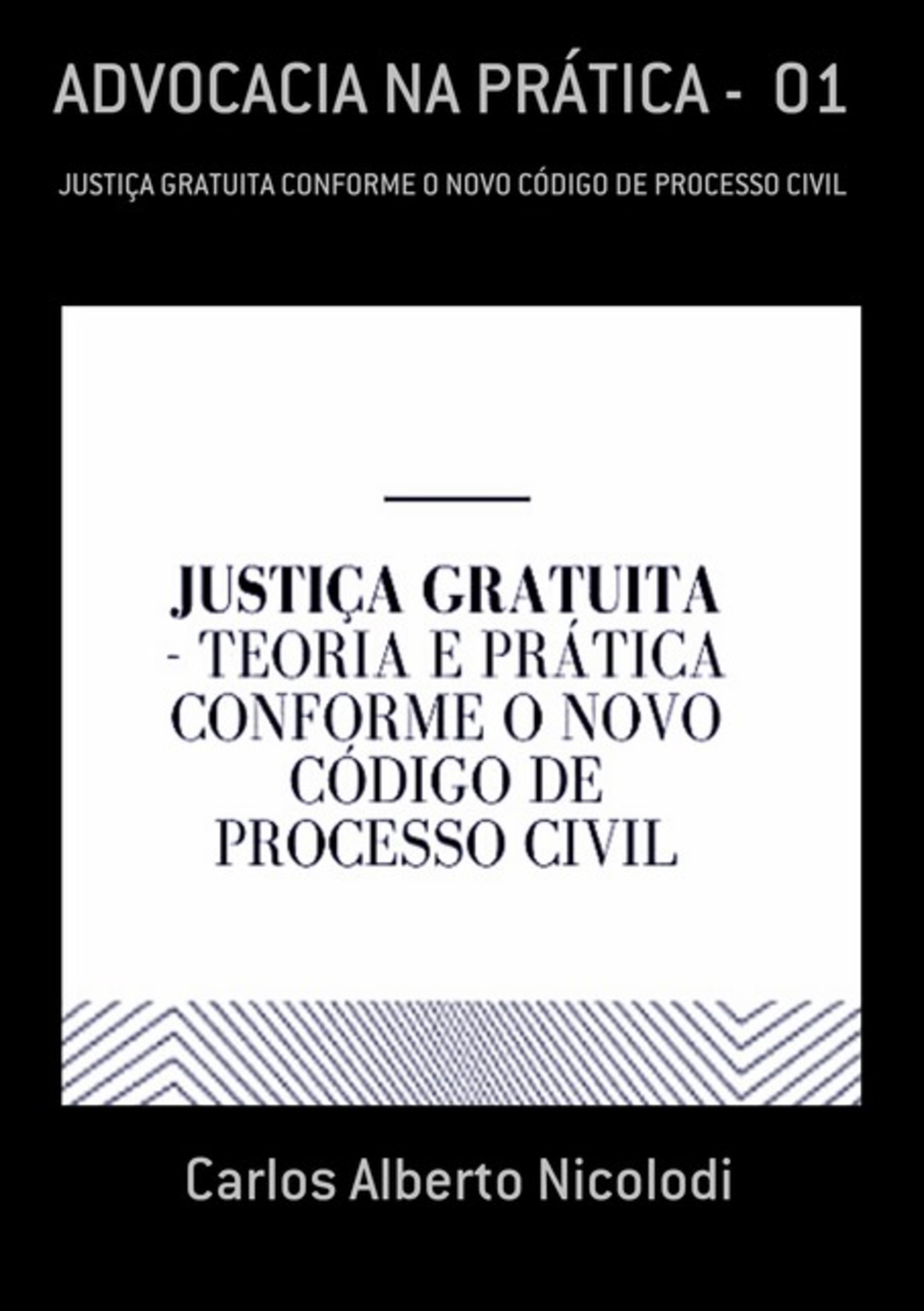 Advocacia Na Prática - 01