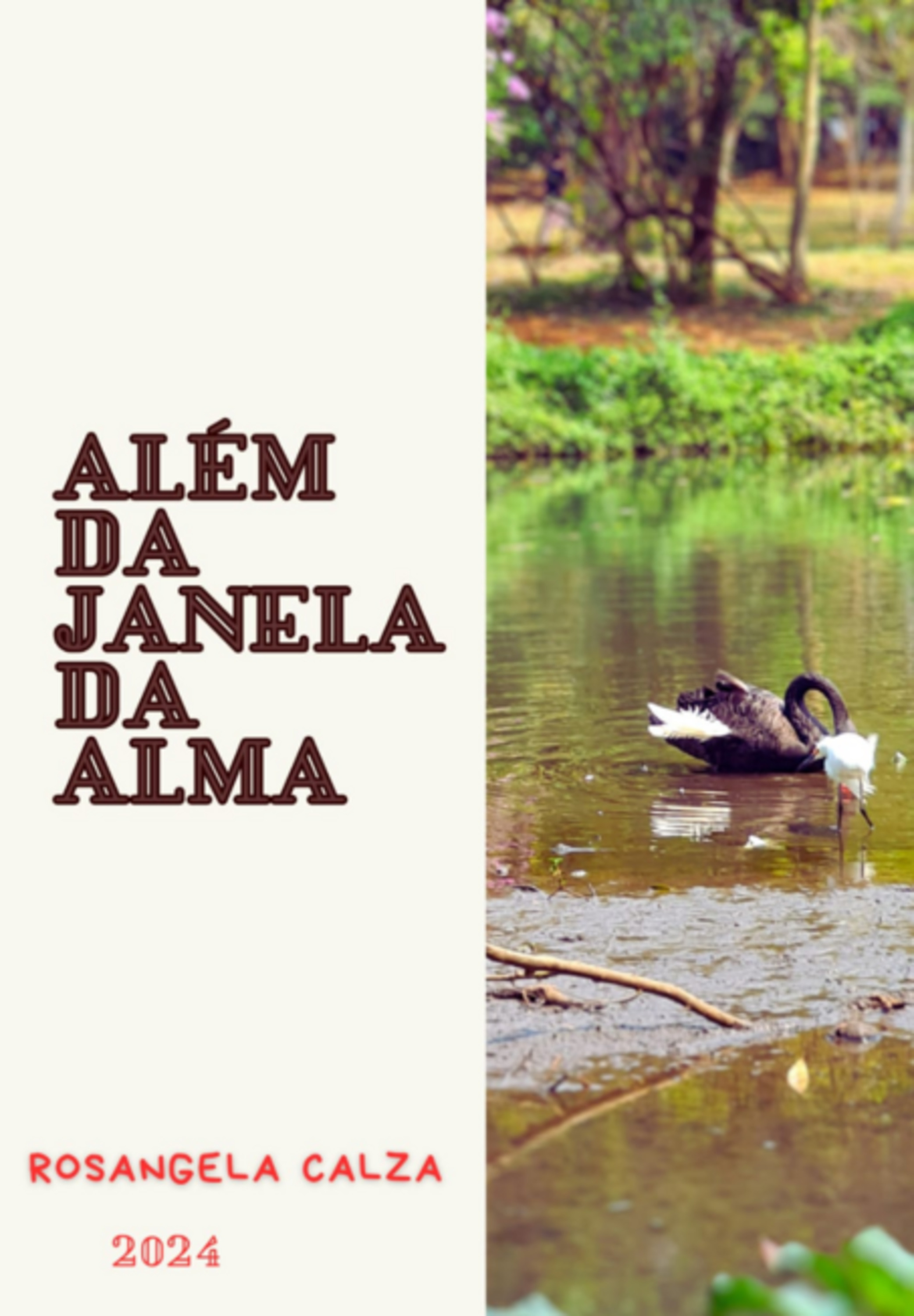 Além Da Janela Da Alma