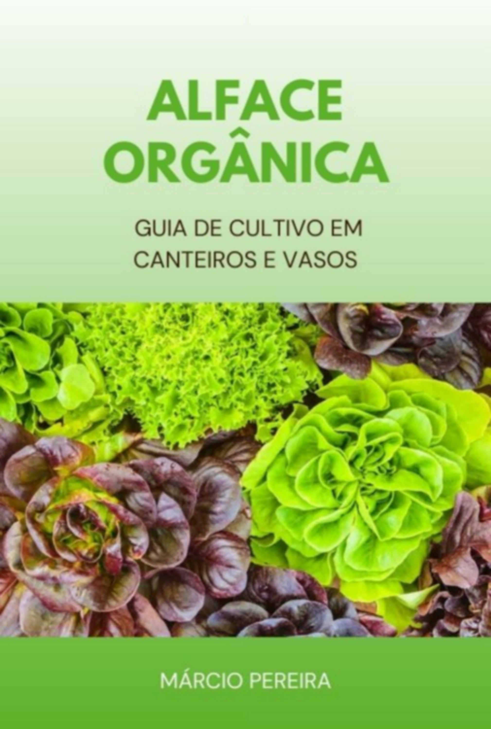 Alface Orgânica