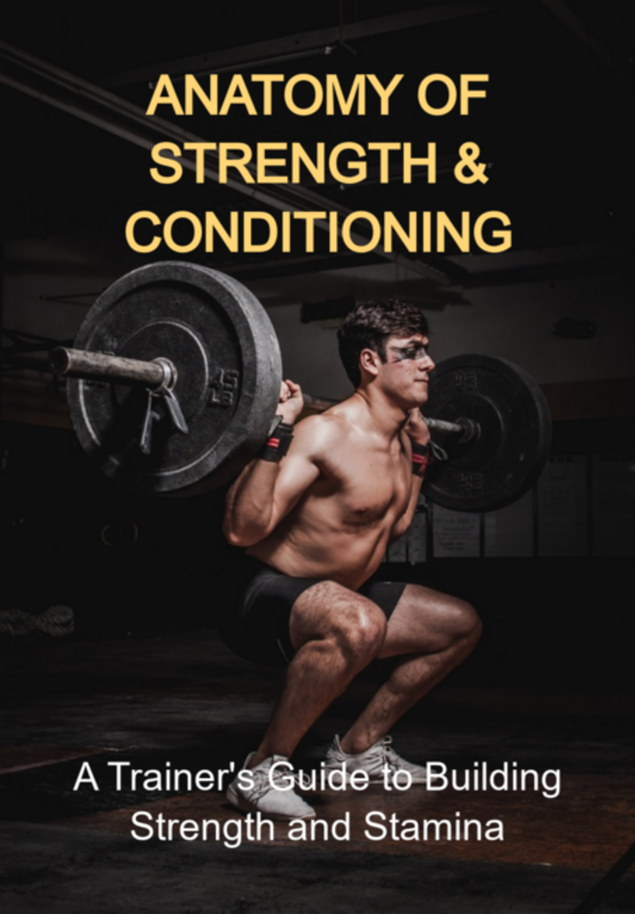 Anatomy Of Strength & Conditioning