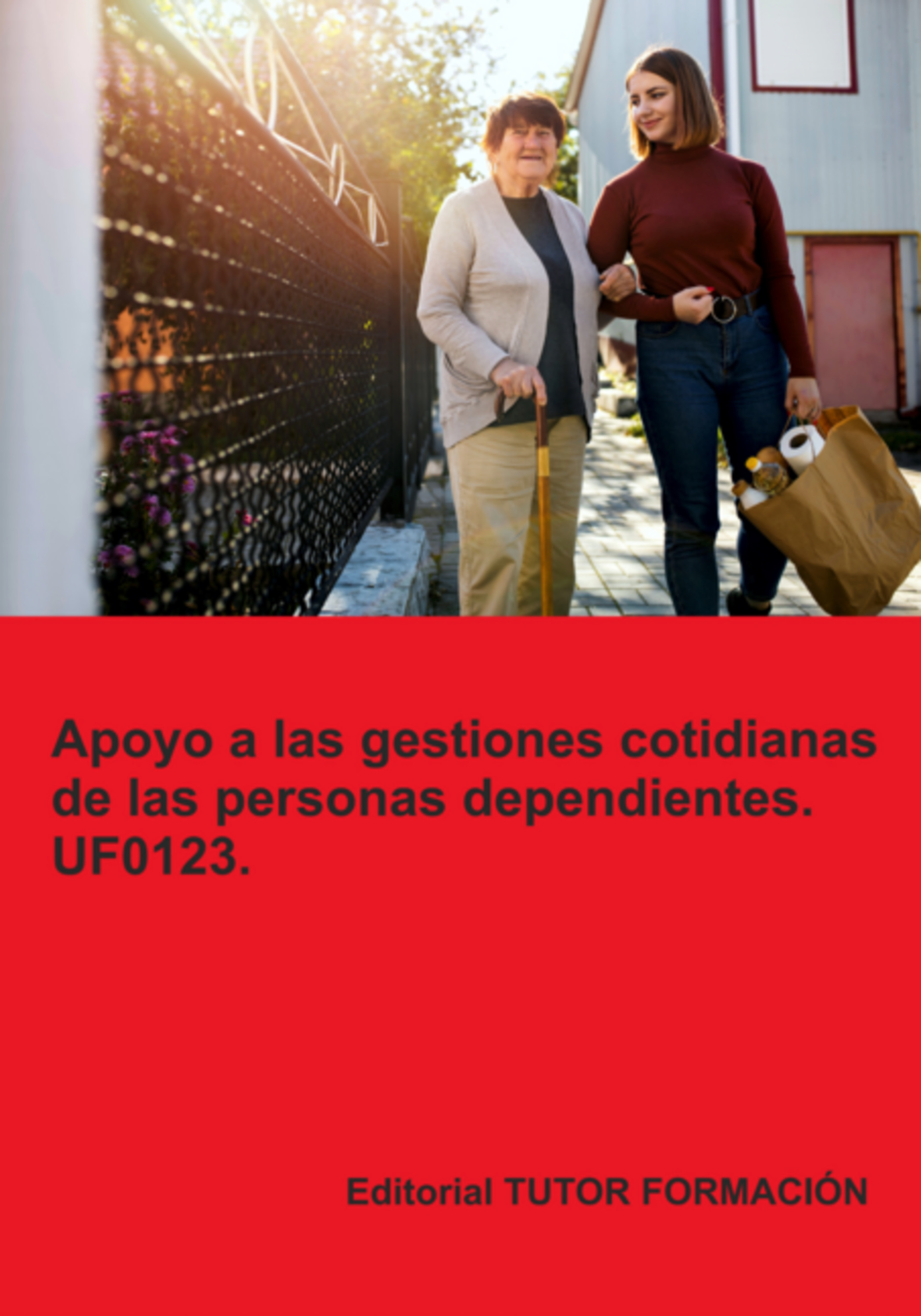 Apoyo A Las Gestiones Cotidianas De Las Personas Dependientes. Uf0123.