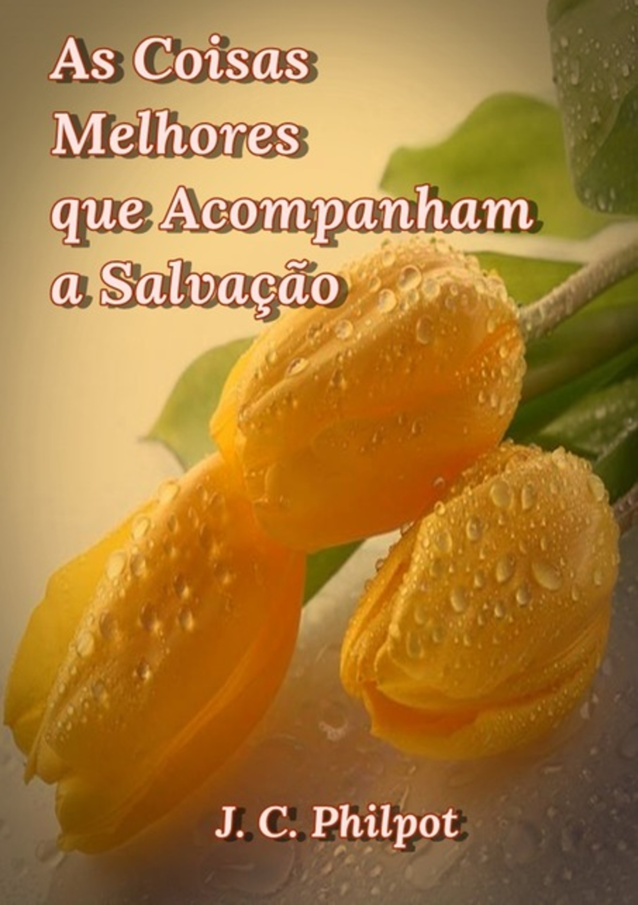 As Coisas Melhores Que Acompanham A Salvação