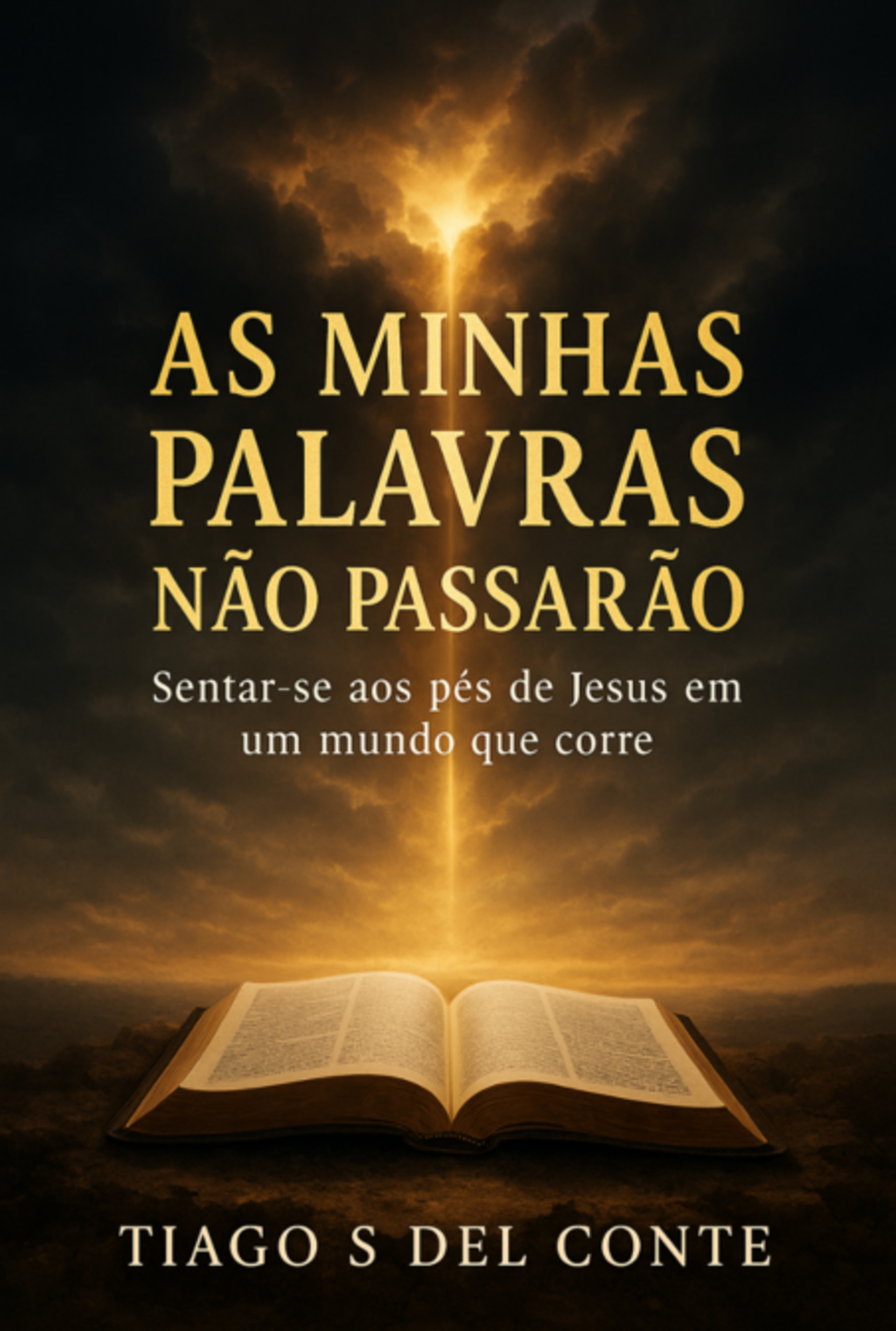 As Minhas Palavras Não Passarão