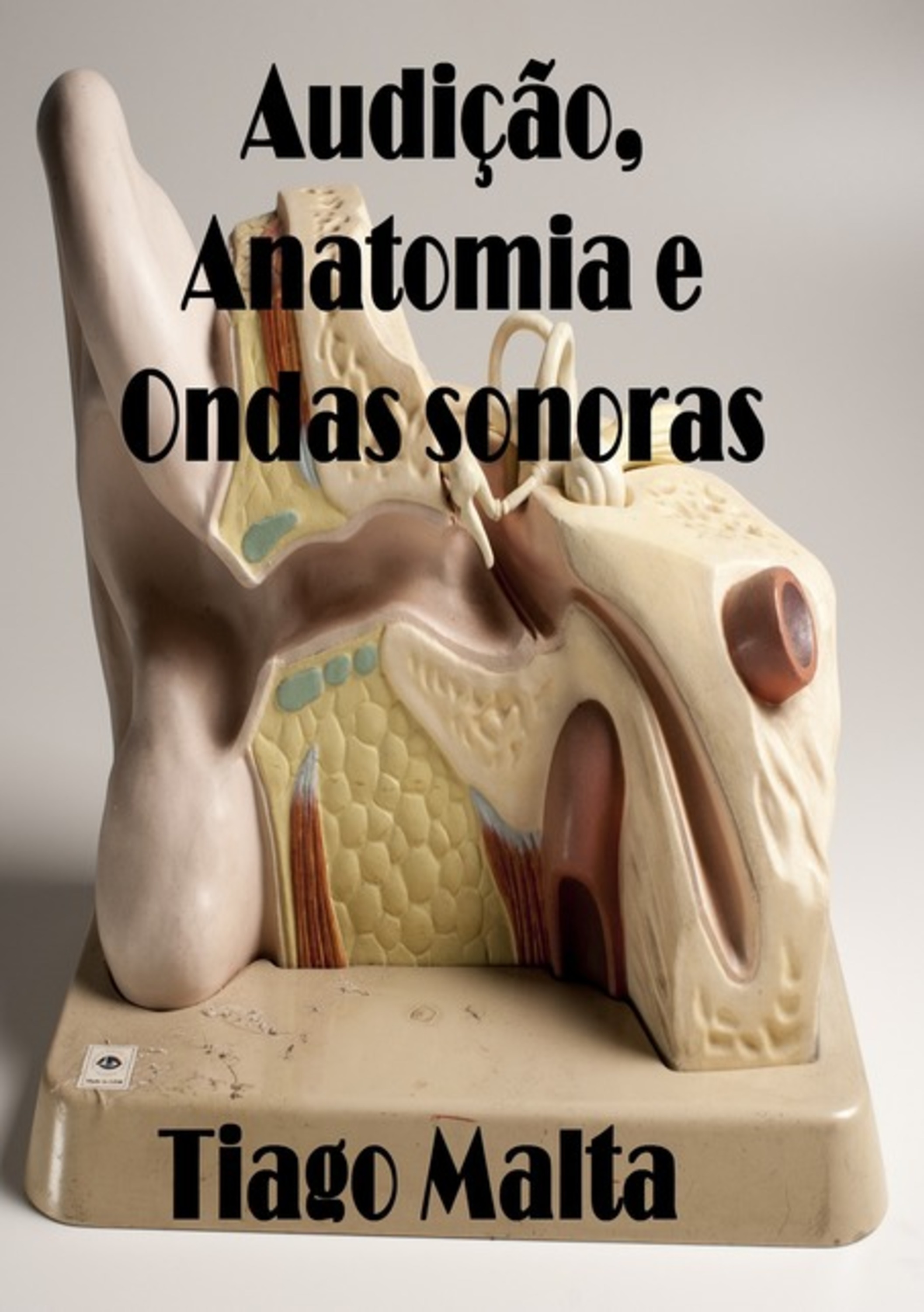 Audição, Anatomia E Ondas Sonoras