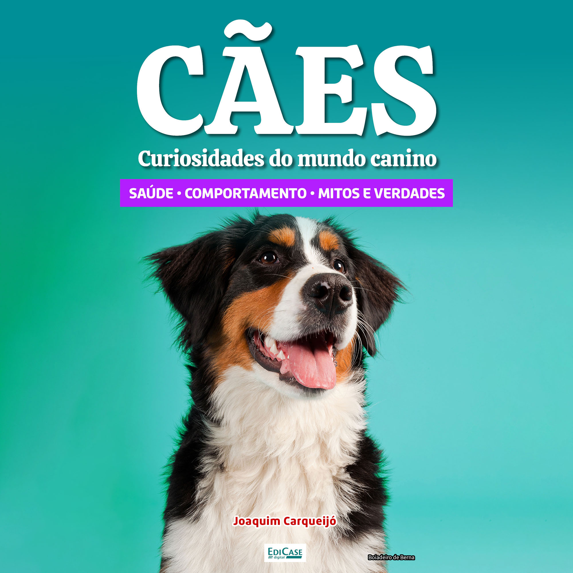 Audiobook Cachorro