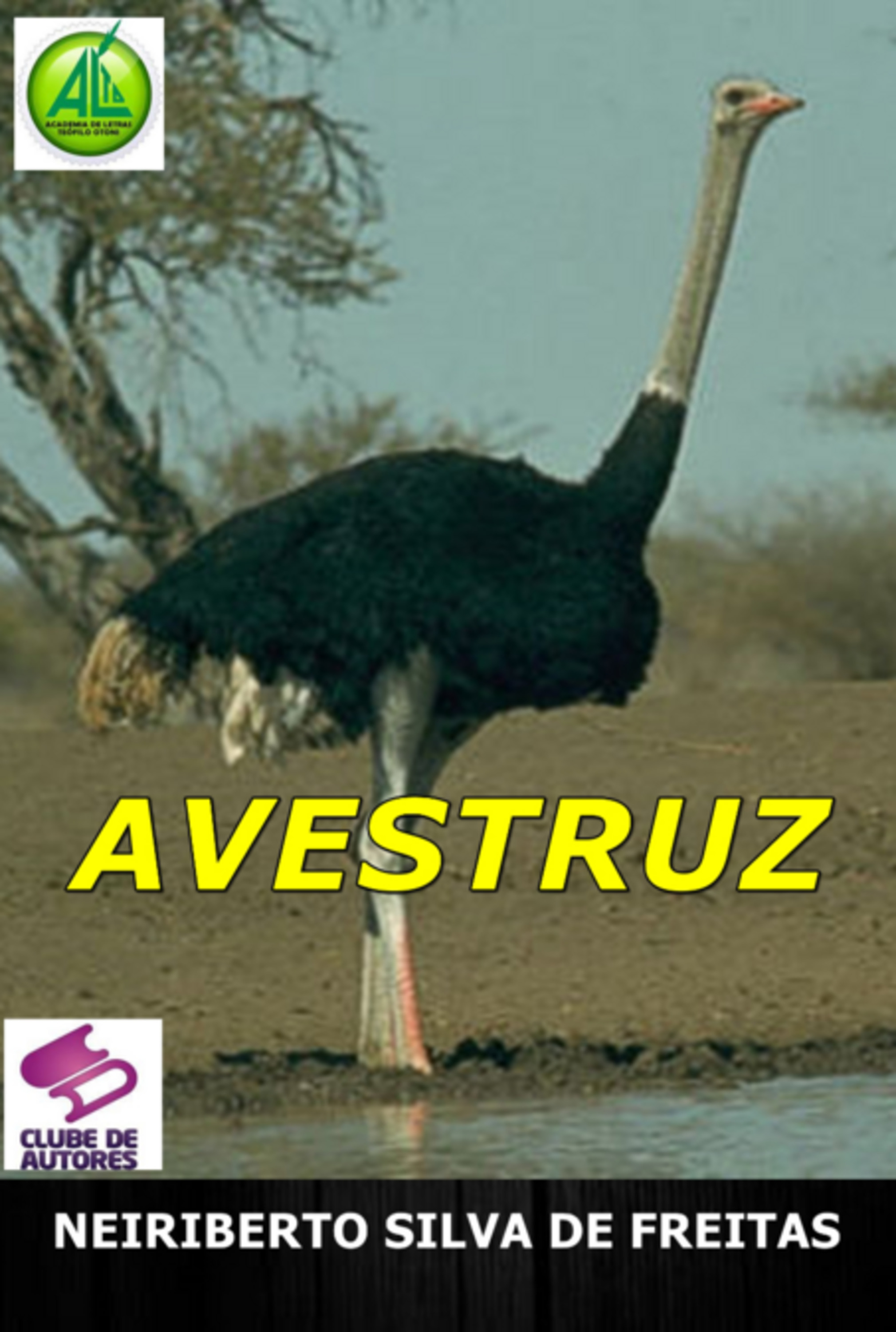 Avestruz