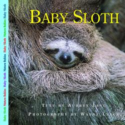 Baby Sloth