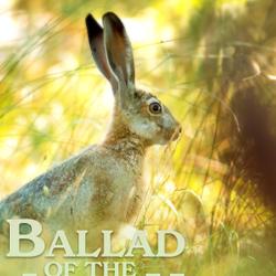 Ballad of the Lost Hare