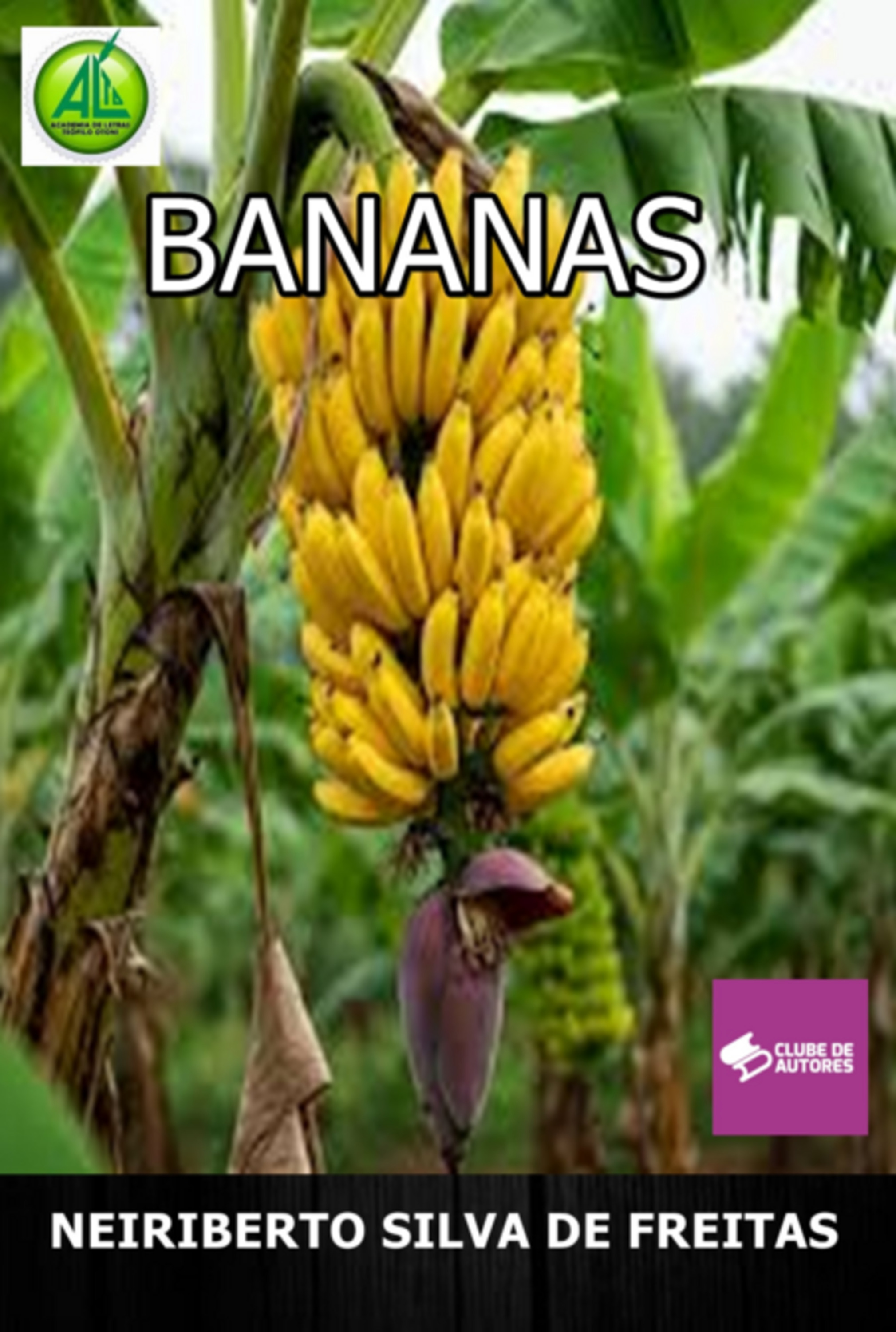Bananas