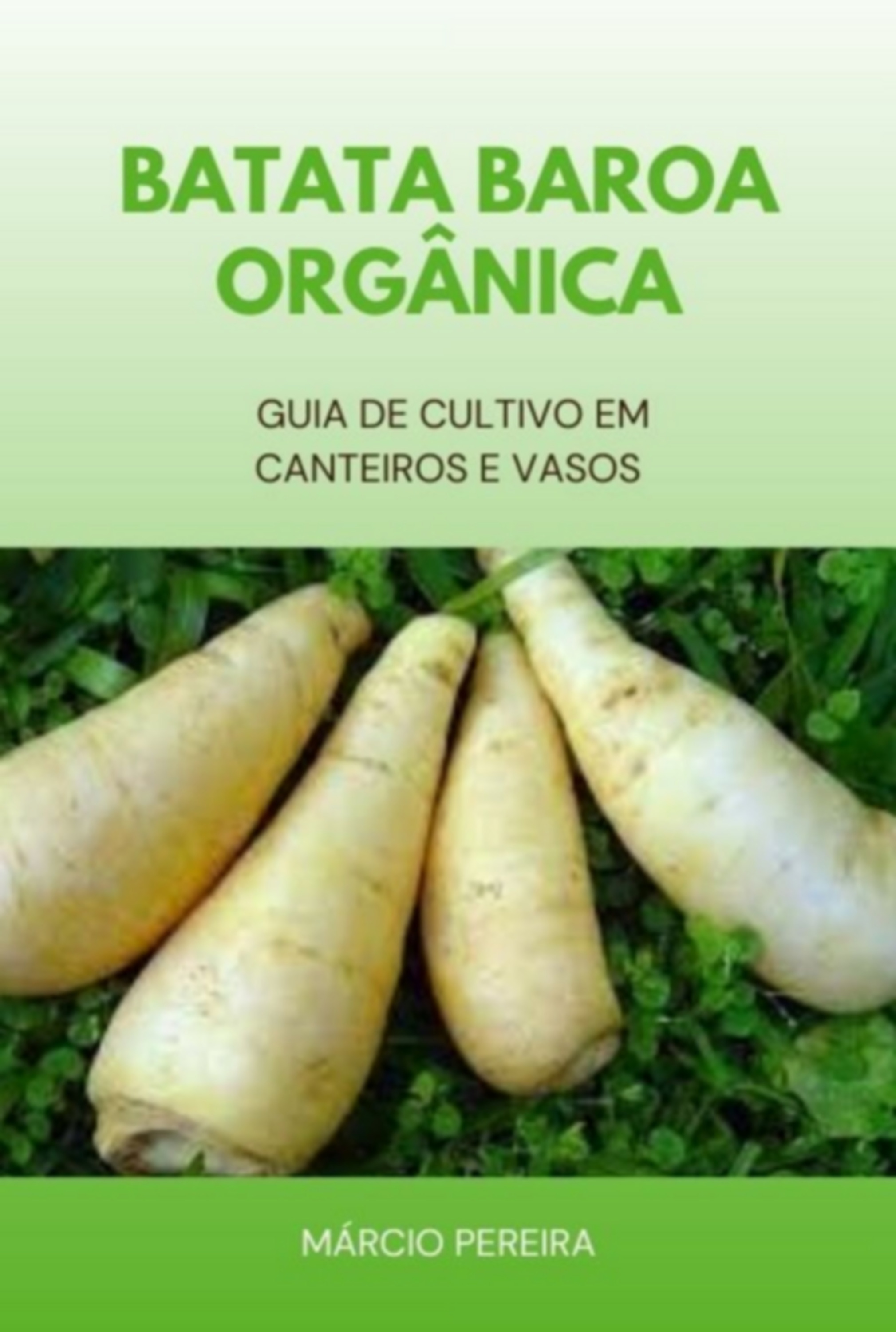 Batata Baroa Orgânica