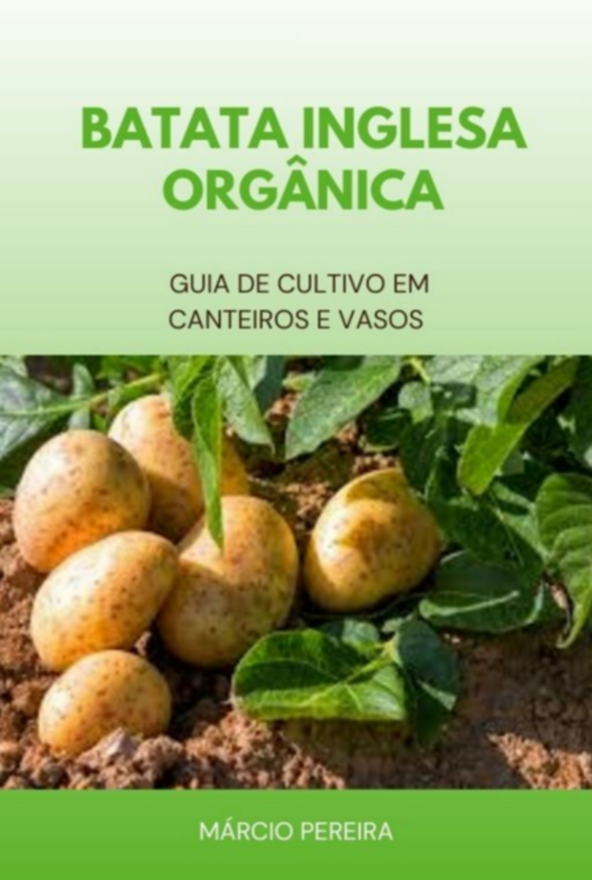 Batata Inglesa Orgânica