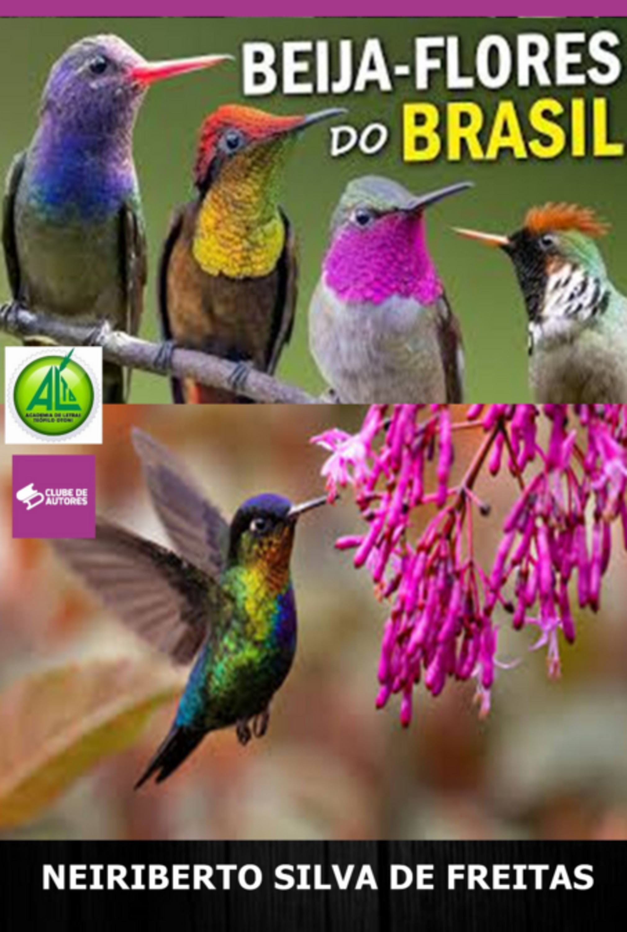 Beija - Flores Do Brasil