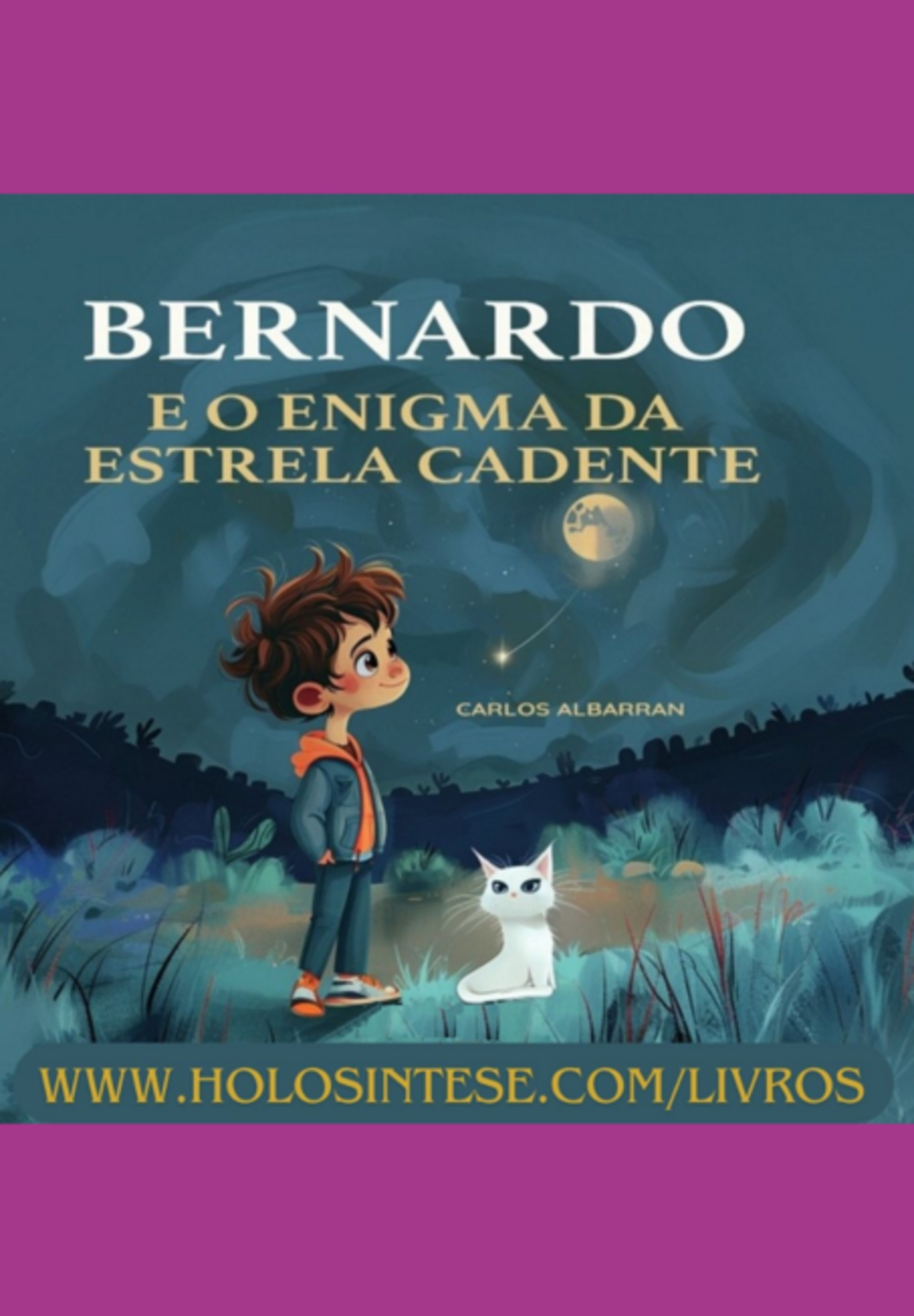 Bernardo E O Enigma Da Estrela Cadente