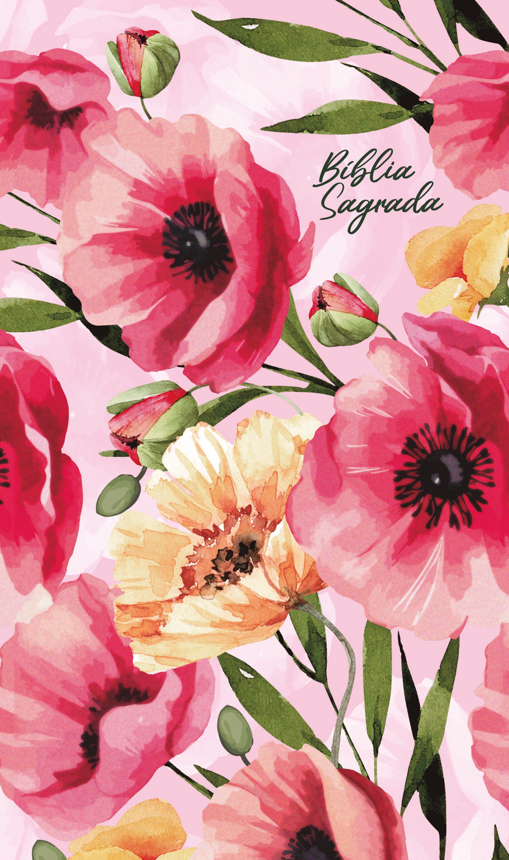 Bíblia NVI, Florida, Econômica, Primavera