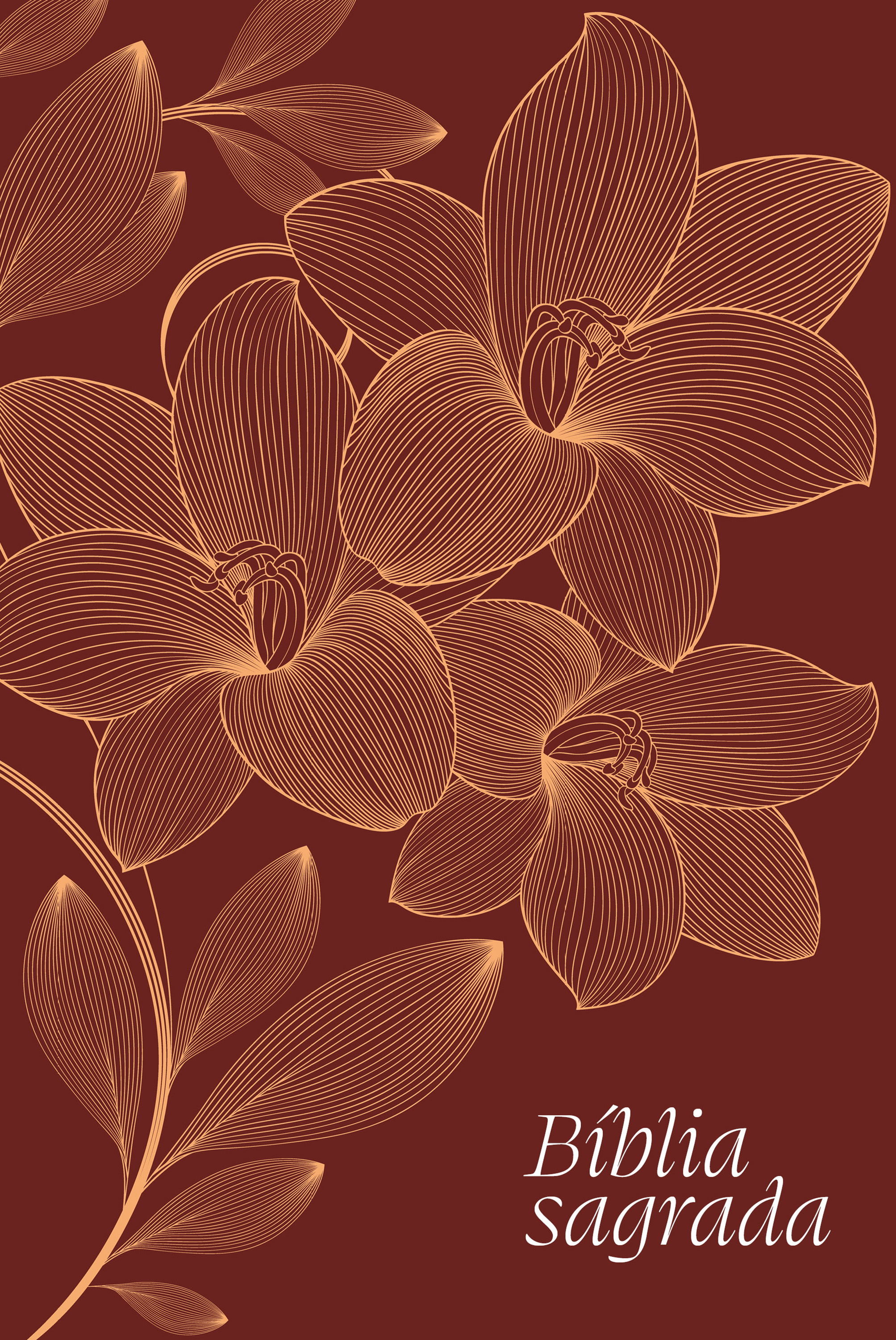 Bíblia NVI, Letra Gigante, vinho