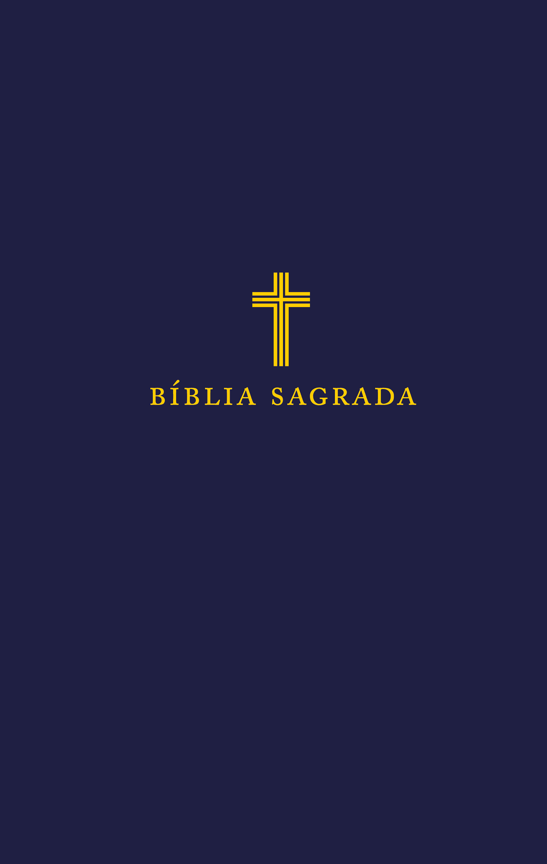 Bíblia NVI, Letra Grande, azul