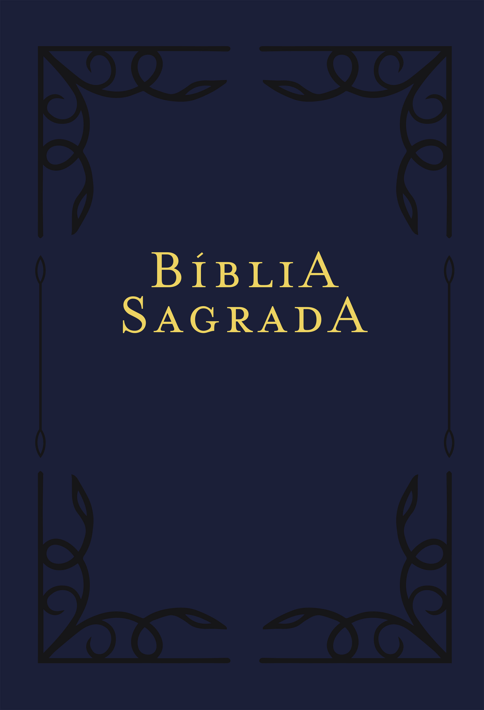 Bíblia NVI, Letra Sênior, Capa azul