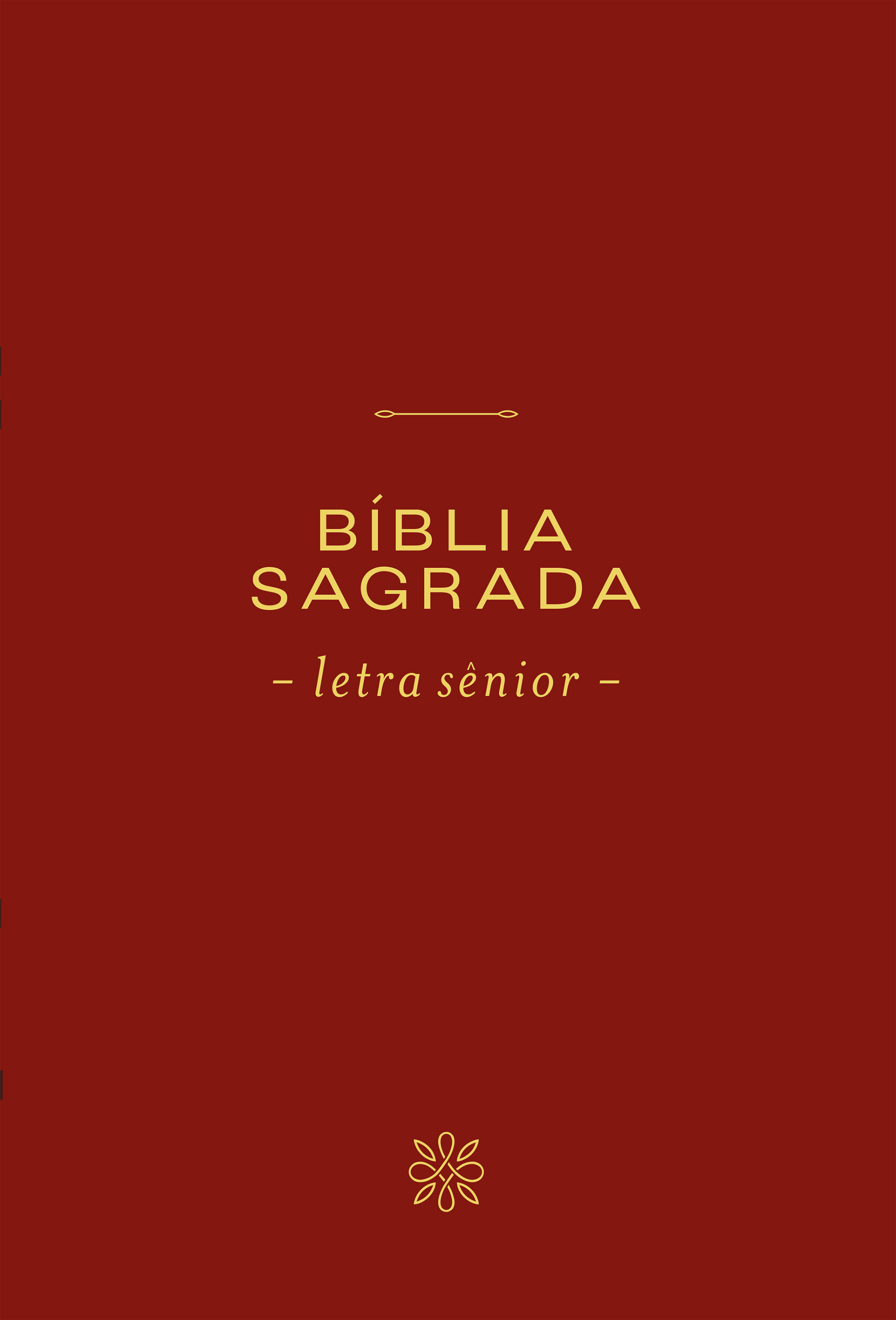 Bíblia NVI, Letra Sênior, Capa vinho