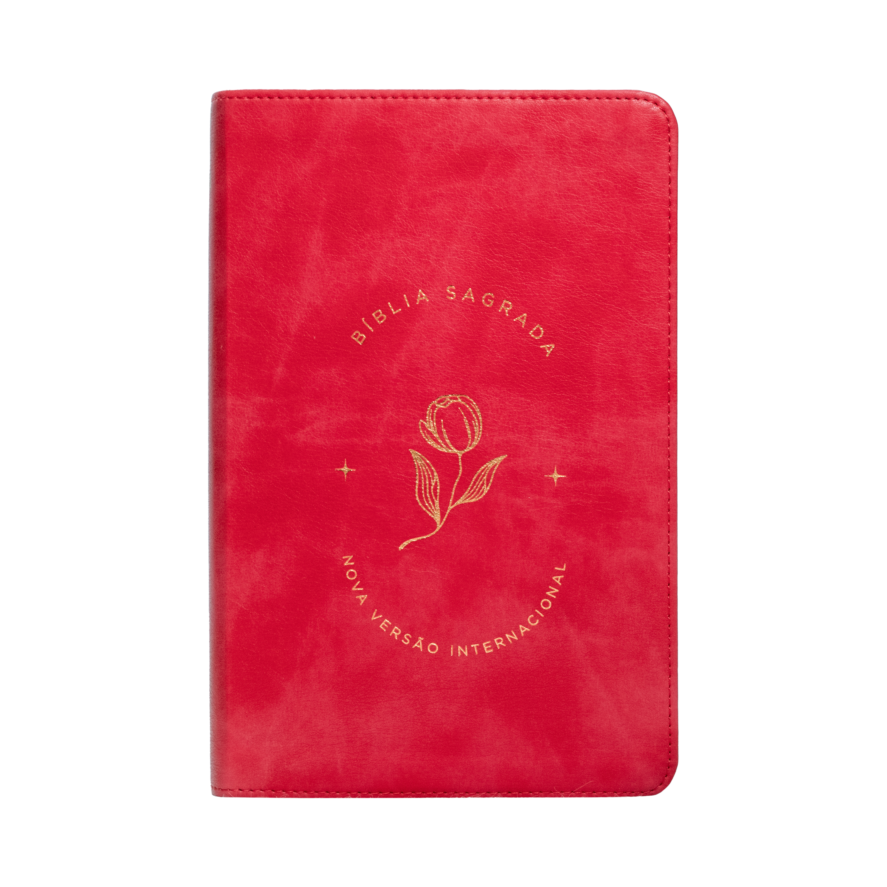 Bíblia Sagrada, Letra grande, Rosado, Nova Versão Internacional