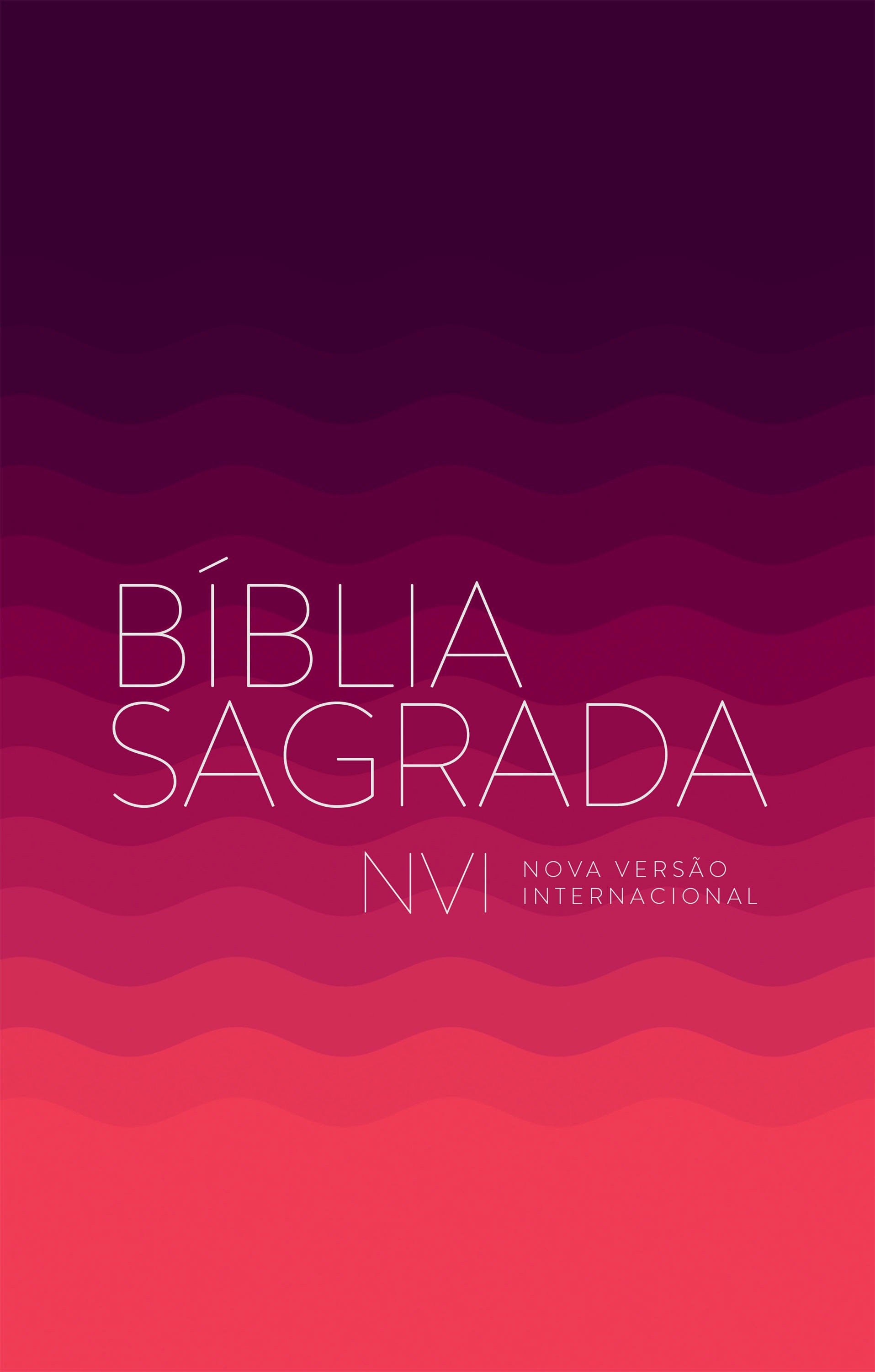 Bíblia Sagrada NVI, econômica