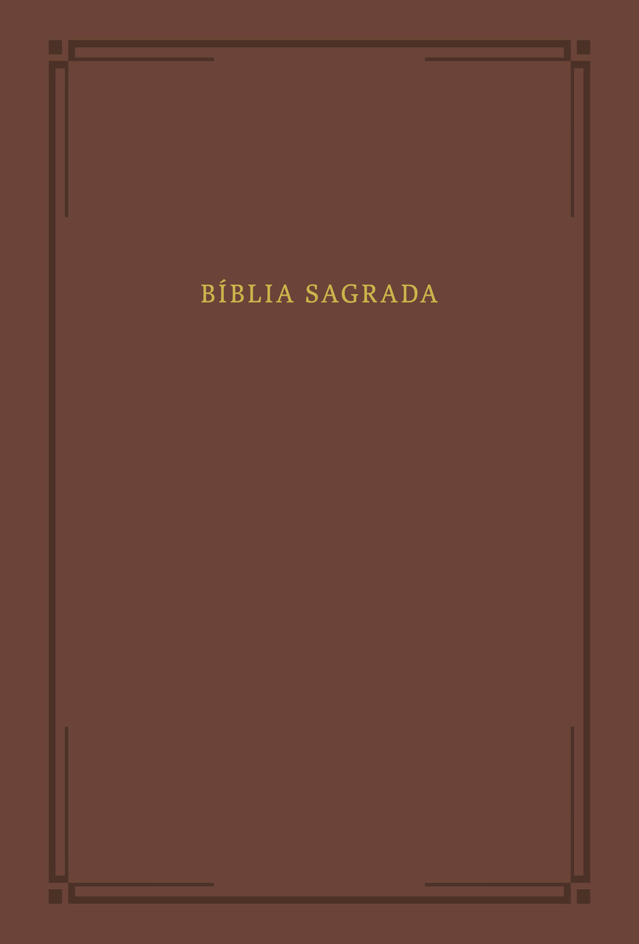 Bíblia Slim NVI, Letra Grande, Barroca