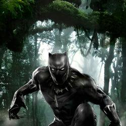 Black Panther's Secrets