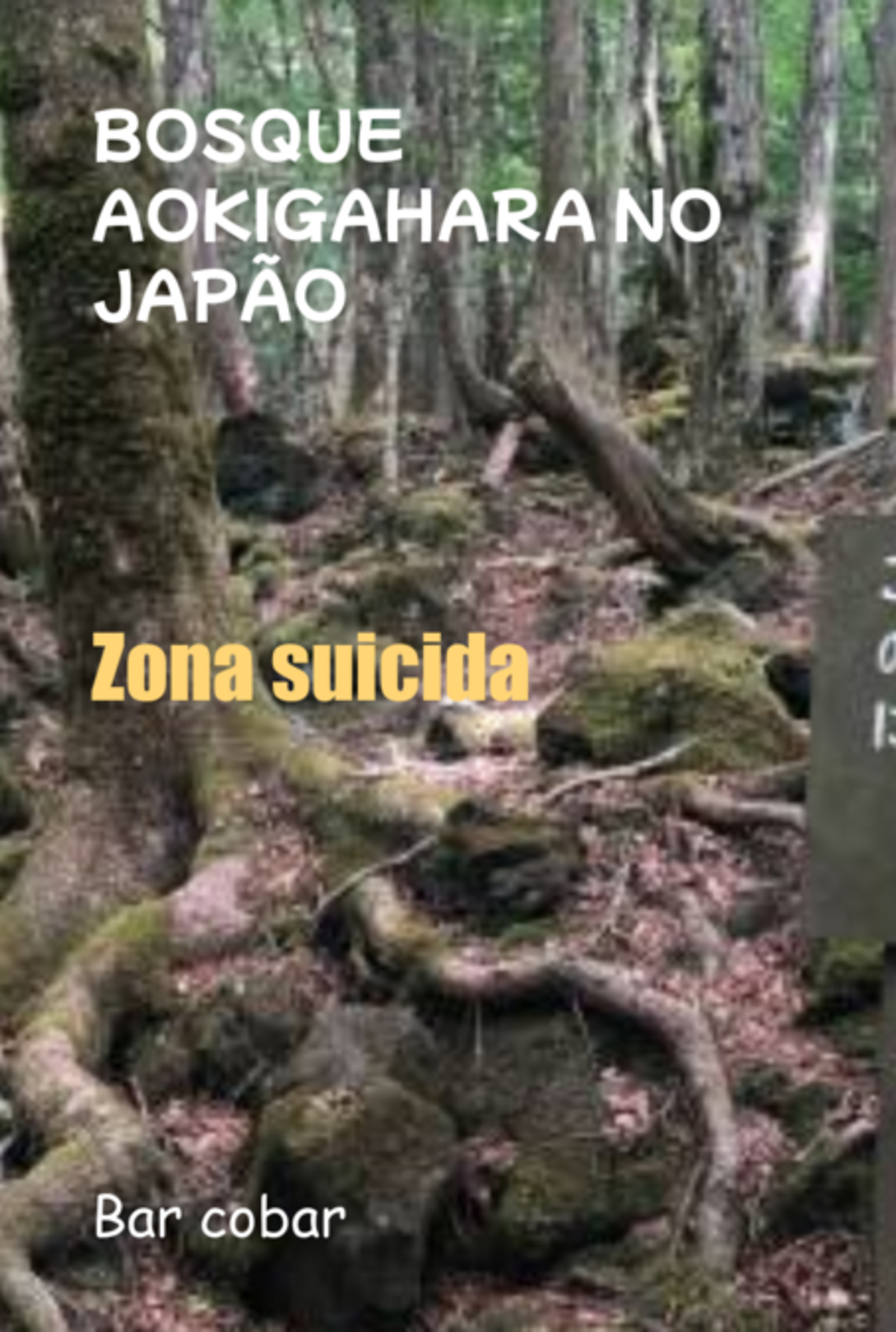 Bosque Aokigahara No Japão