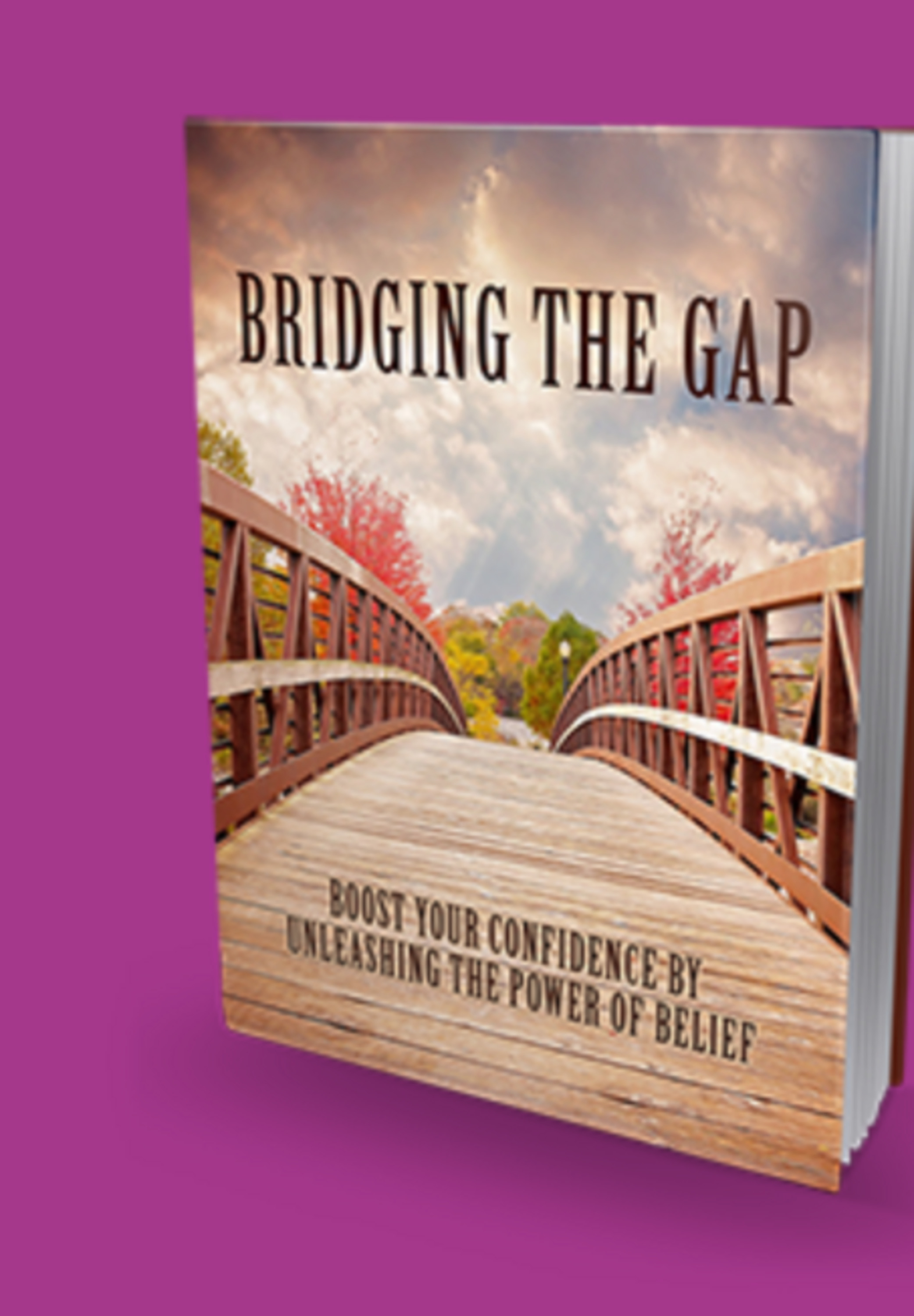 Bridging The Gap