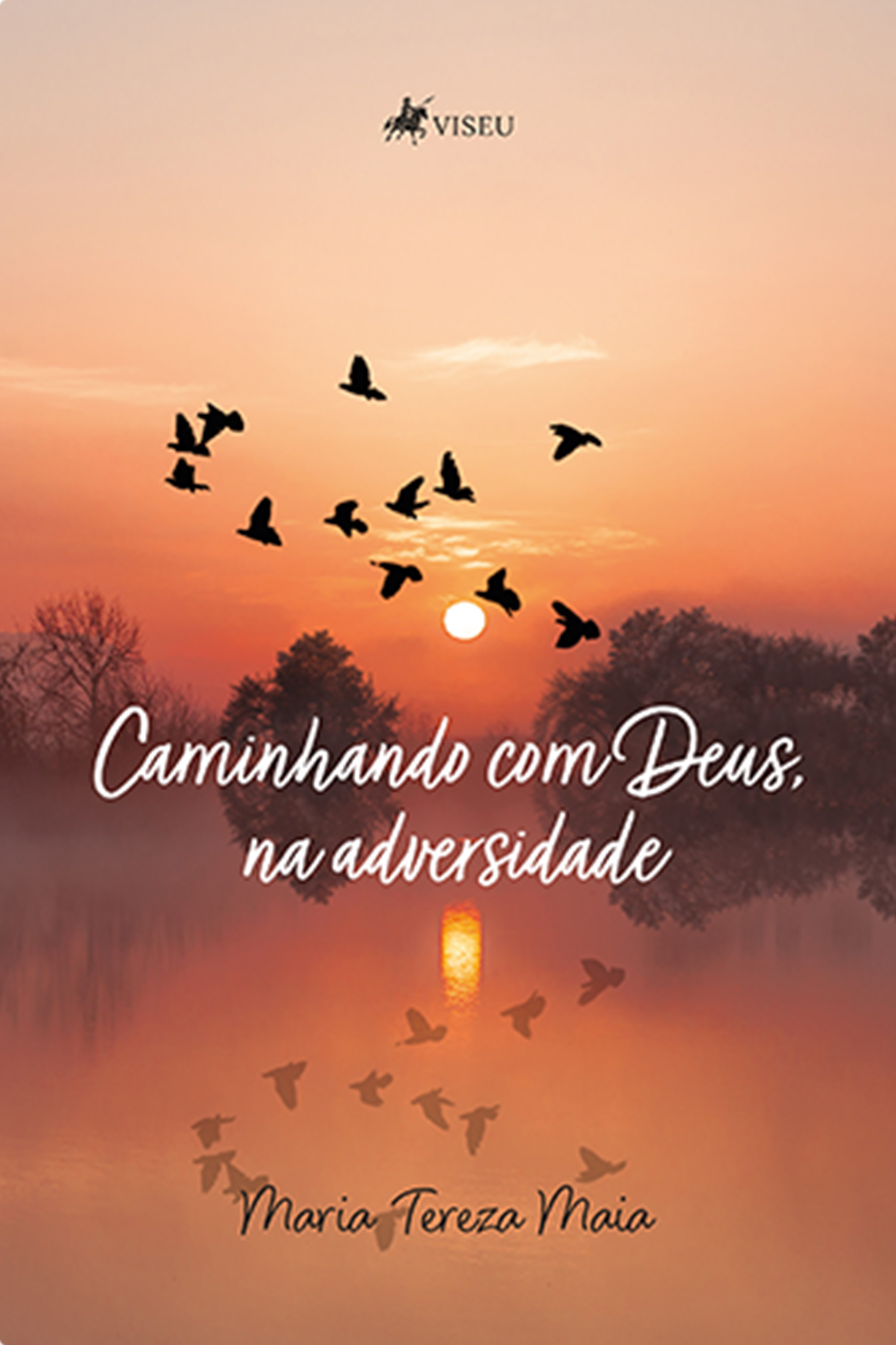 Caminhando com Deus, na adversidade