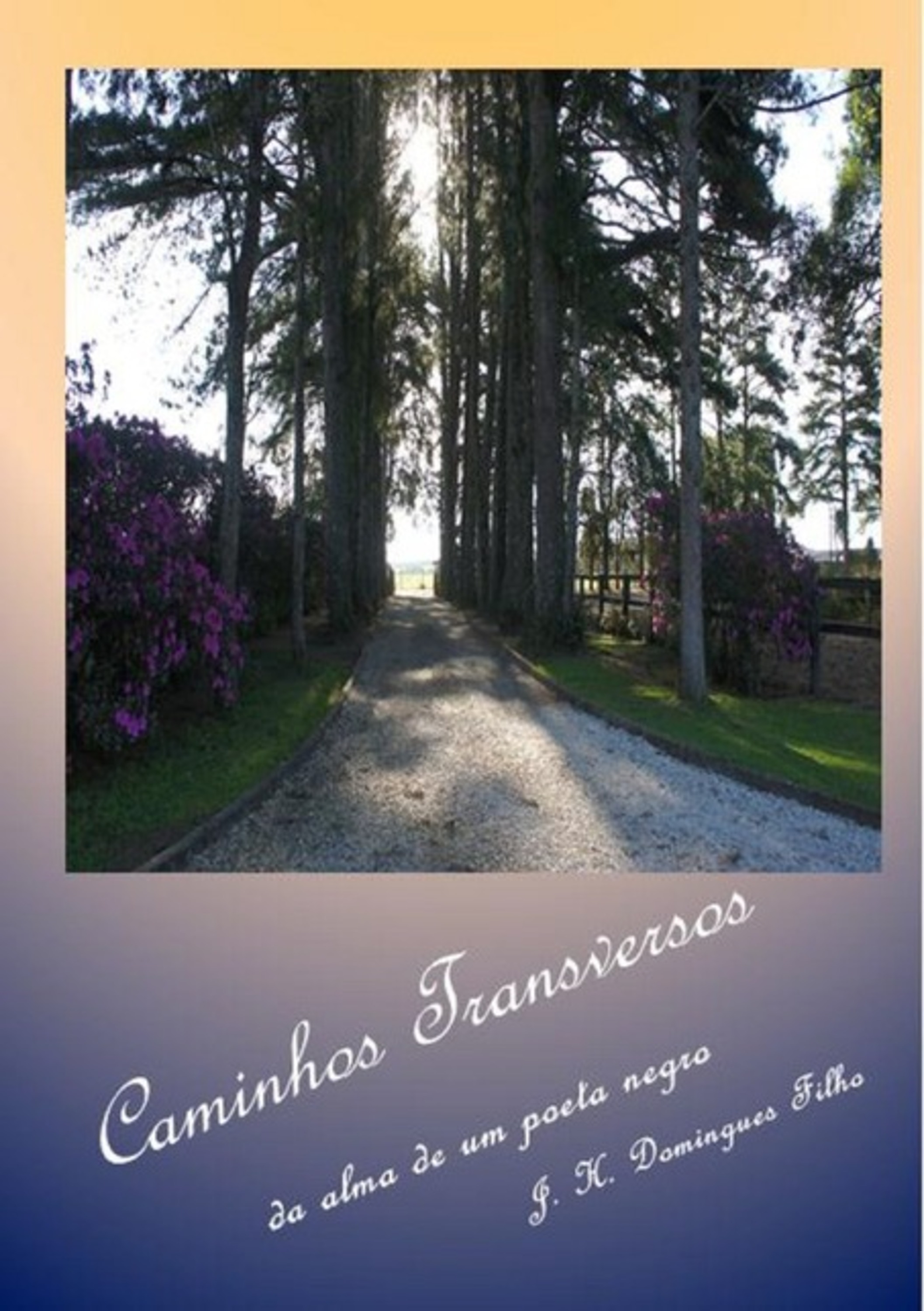 Caminhos Transversos