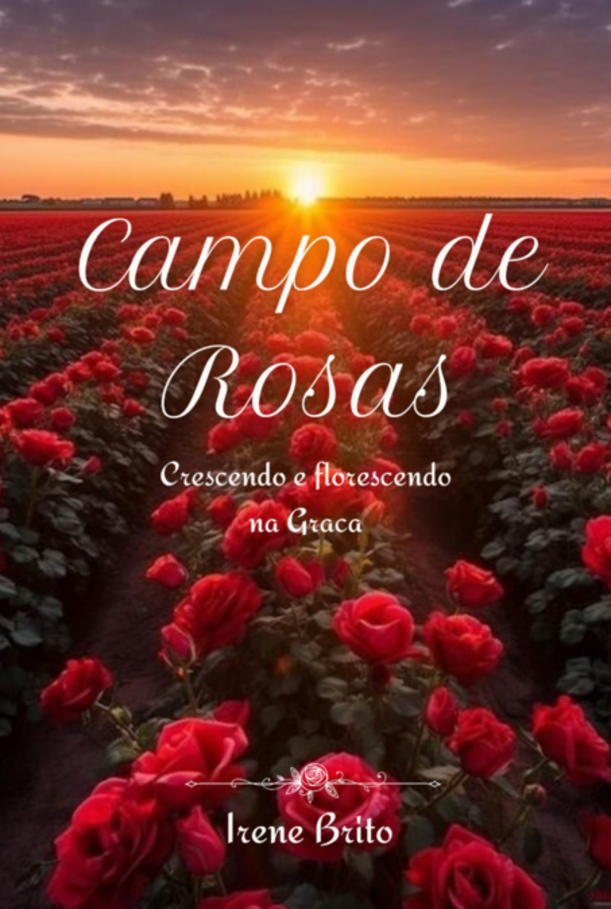 Campo De Rosas